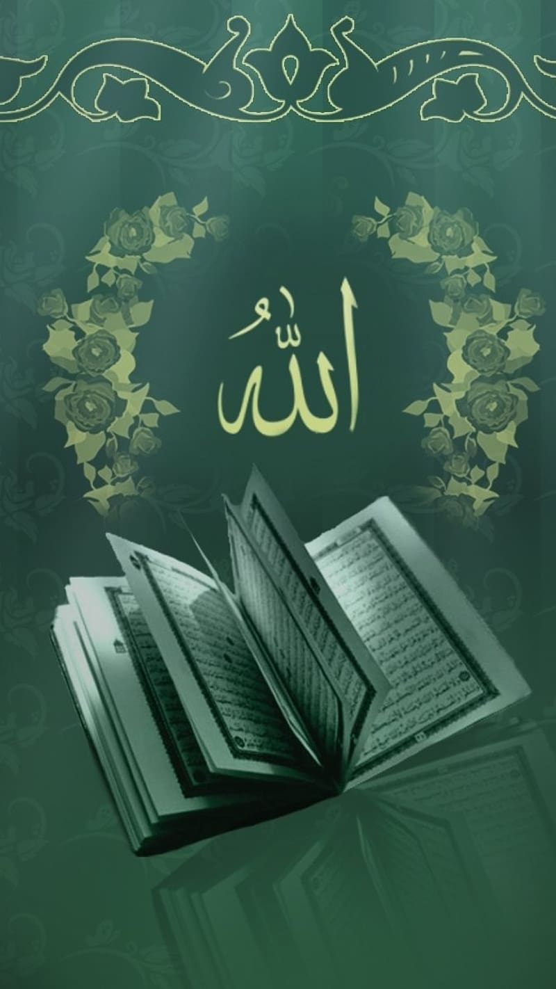 800x1422 Muslim Dp, book, islamic, HD phone wallpaper