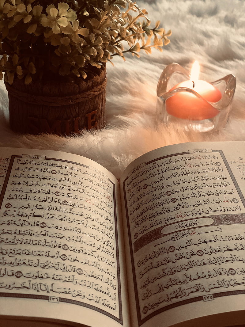 800x1067 Quran karim, books, inspiration, islam, love, rose, HD phone wallpaper