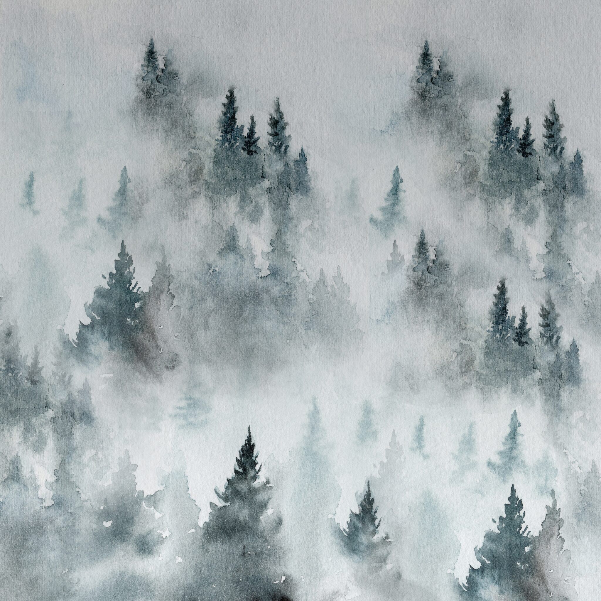 2048x2048 Foggy Forest