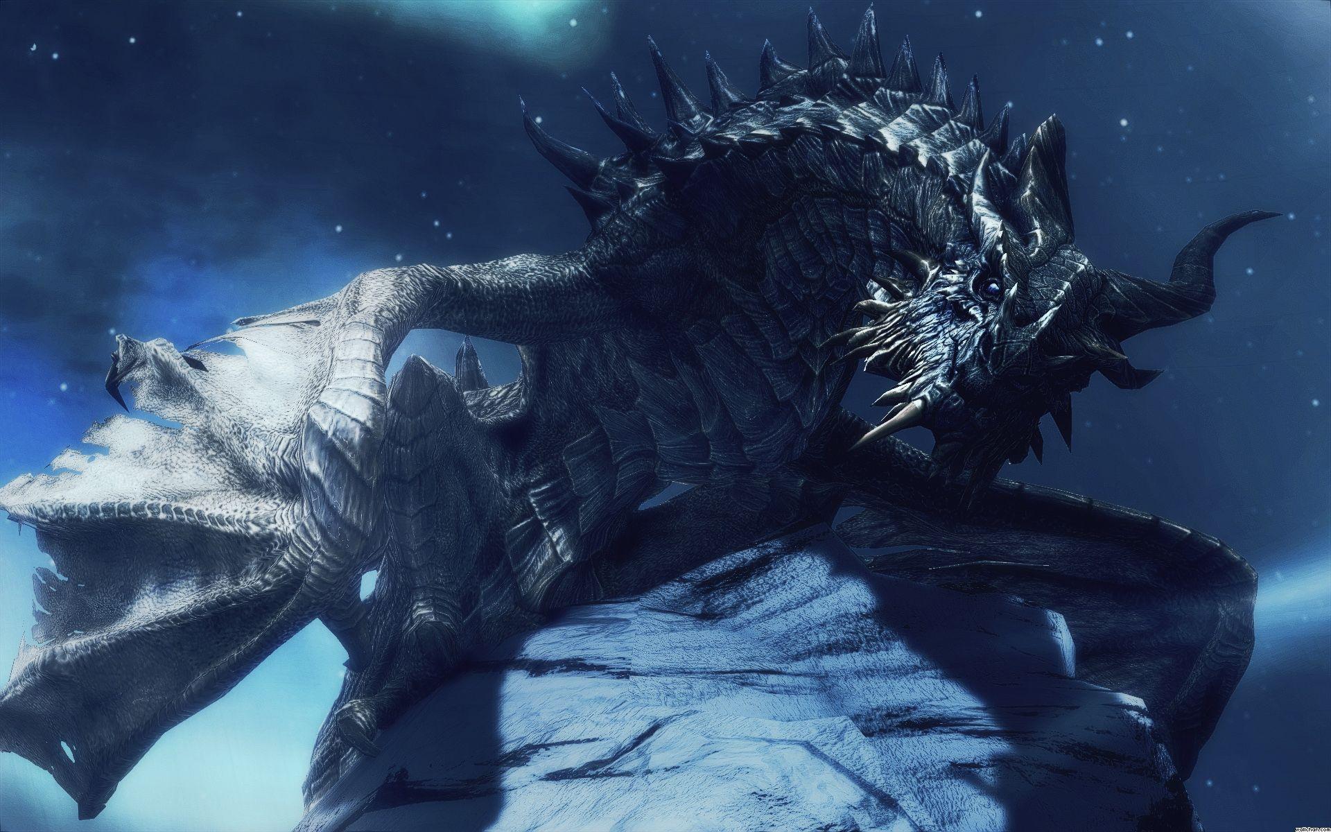 1920x1200 Skyrim Paarthurnax Wallpaper