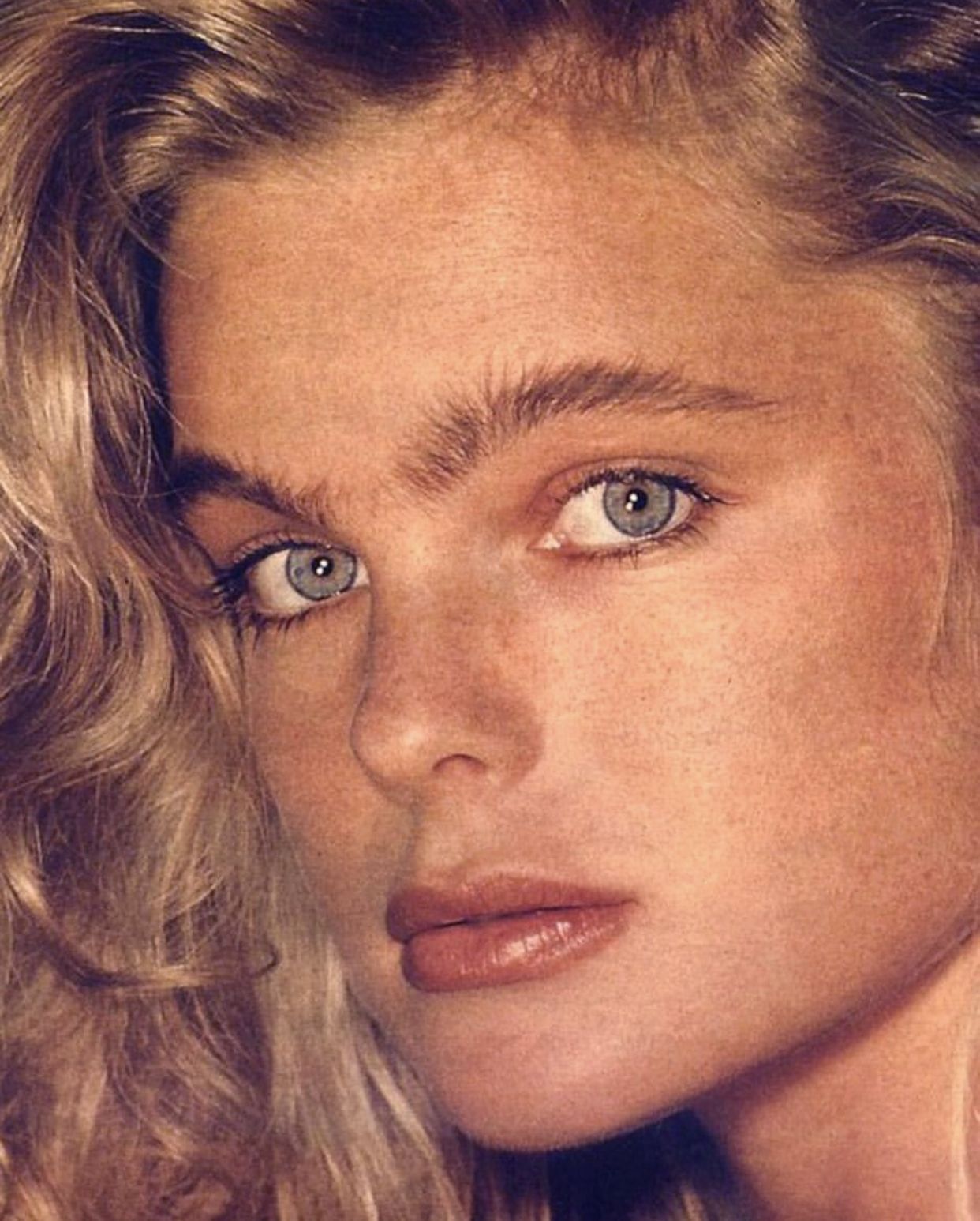 1242x1546 image Of Erika Eleniak Media Update With Files & Photo