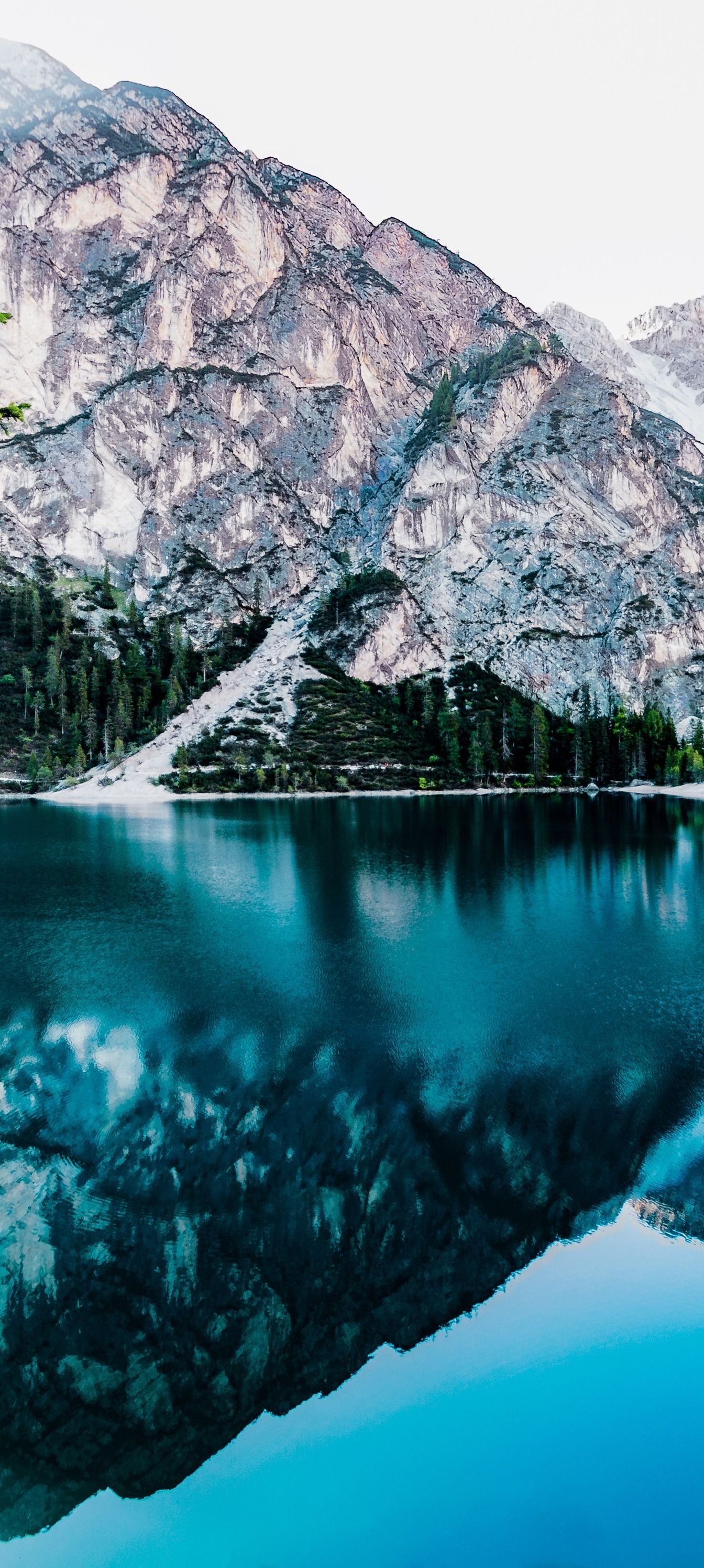 1344x2992 Service to automatically adjust image to match the background dimensions of the Google Pixel 8 Pro, while losslessly reducing the image size