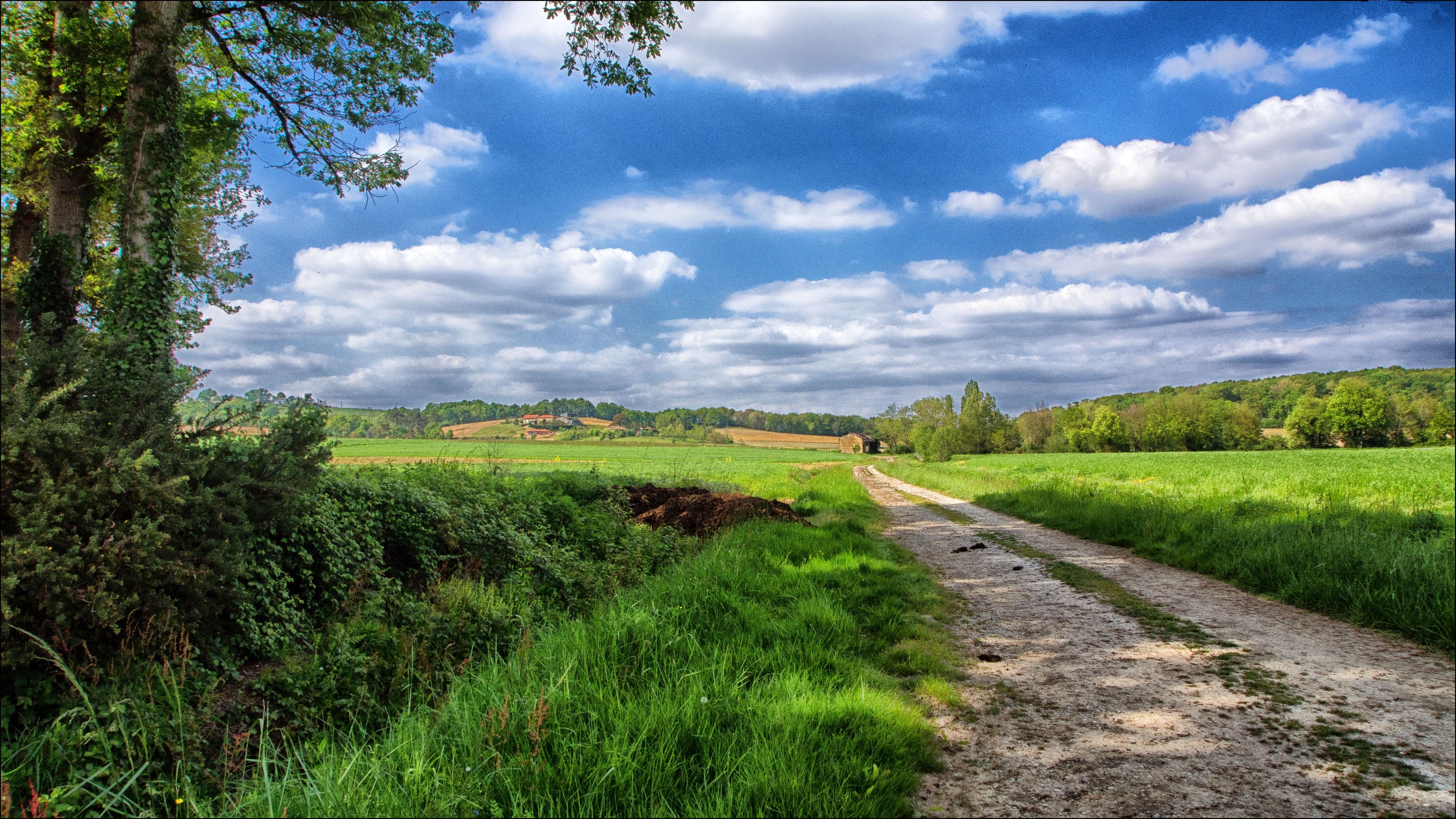 4608x2592 Wallpaper Green Grass Field Under Blue Sky During Daytime, Background Free Image