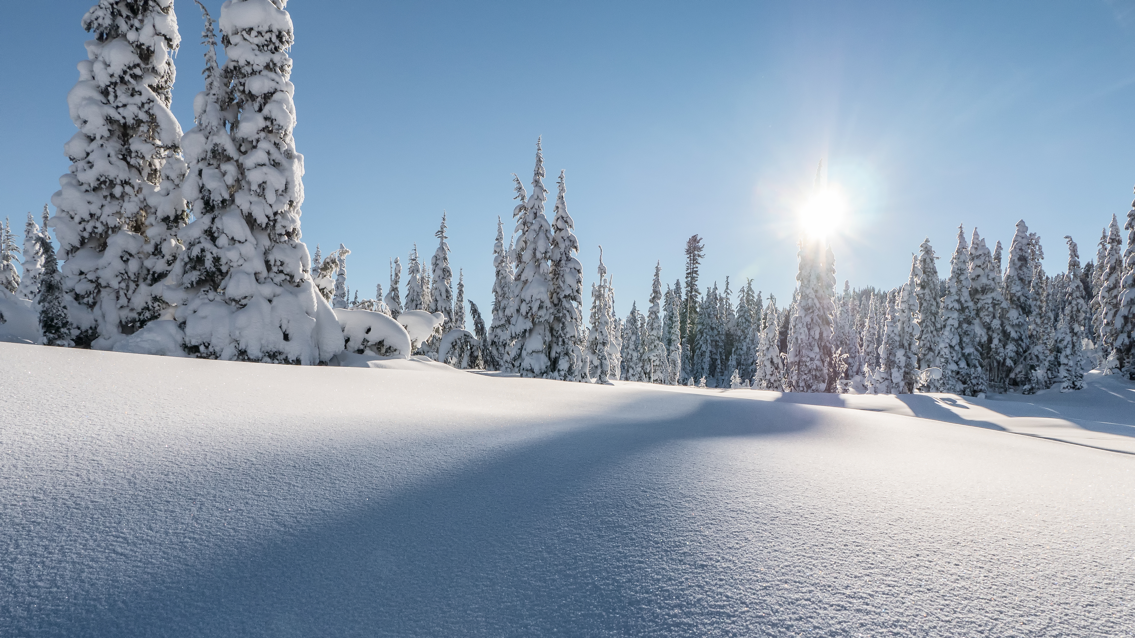 4608x2592 Smooth snow in the forest against the backdrop of fir trees under the rays of the sun in winter Desktop wallpaper 1366x768