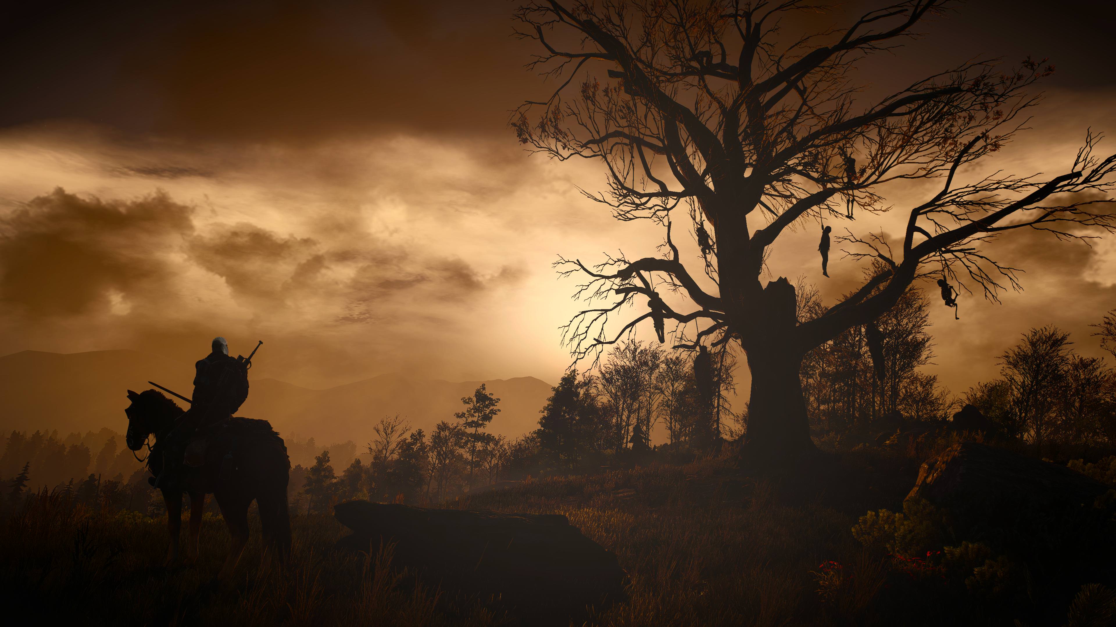 3840x2160 Witcher 4K wallpaper for your desktop .