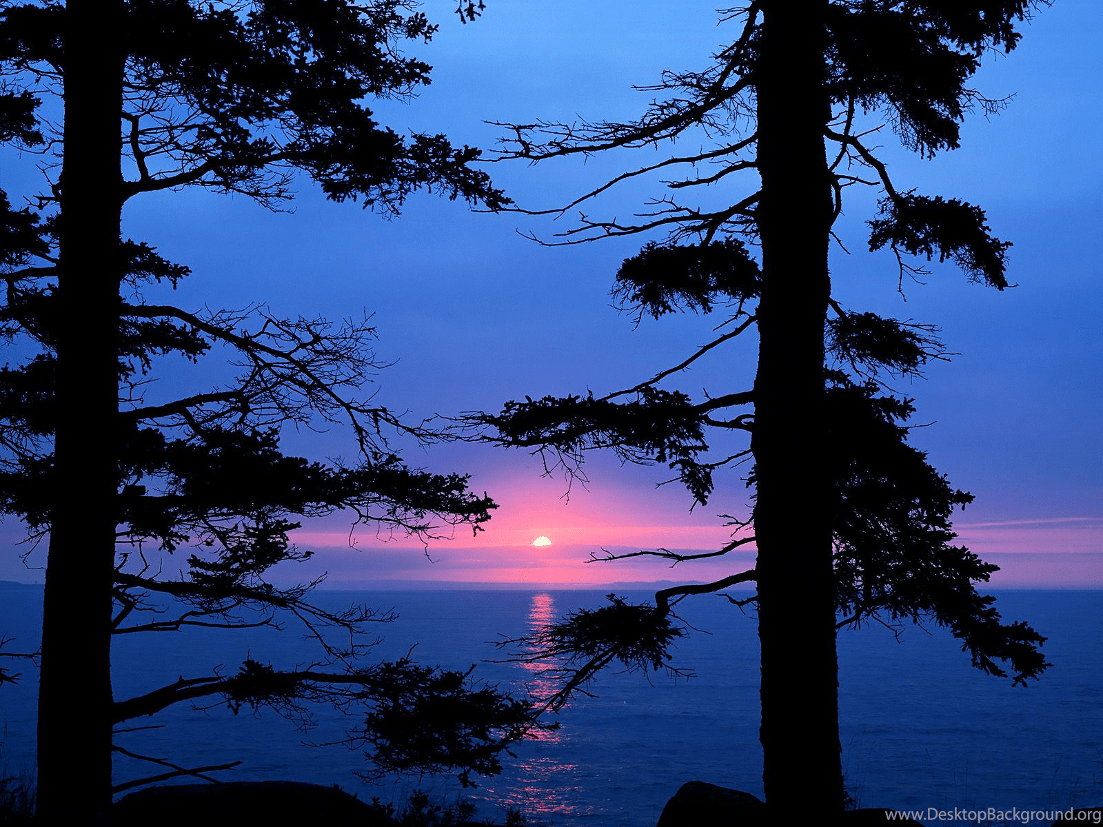 1600x1200 Acadia National Park Maine Wallpaper, Observations On The Fringe