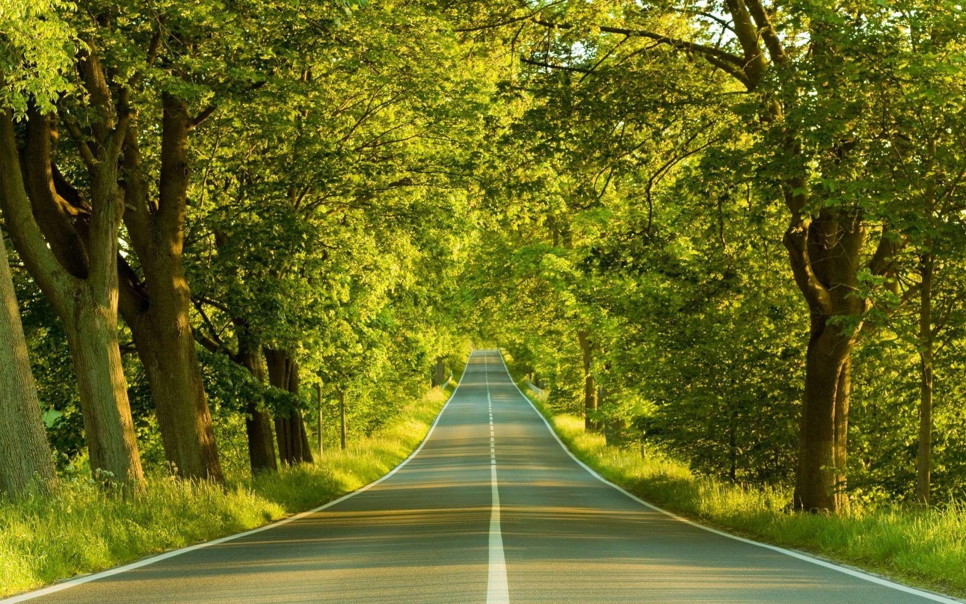 1920x1200 HD Wallpaper for PC Full Screen. HD