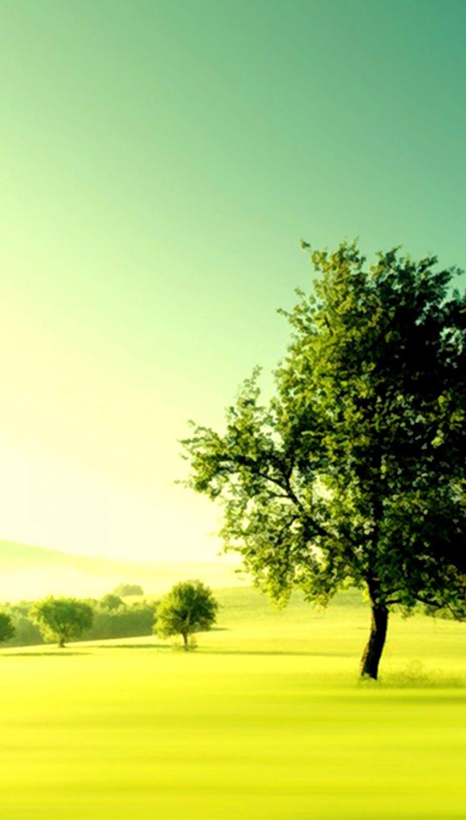 910x1600 Nature Wallpaper For Android Phone