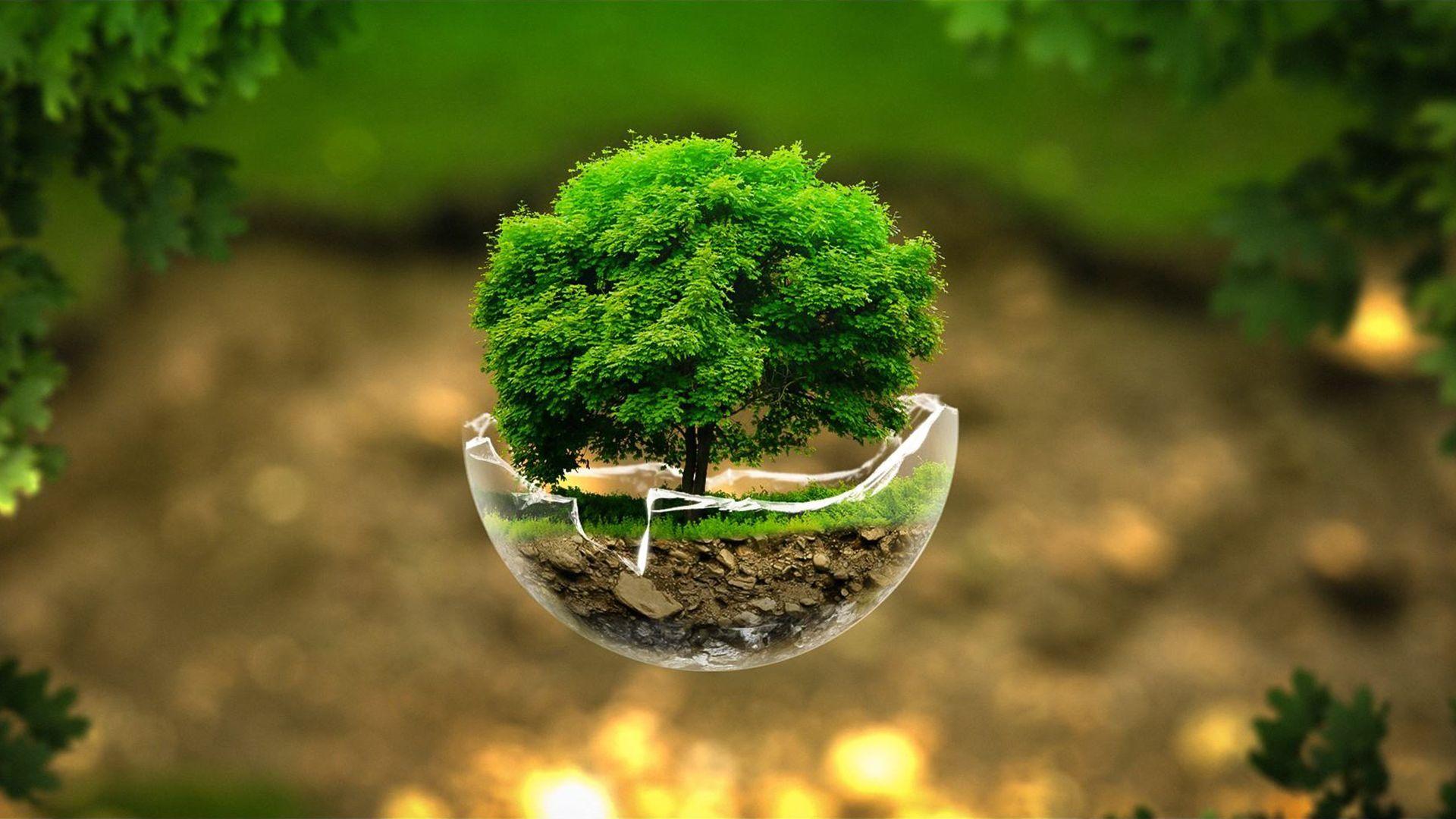 1920x1080 Best Nature Wallpaper For Desktop