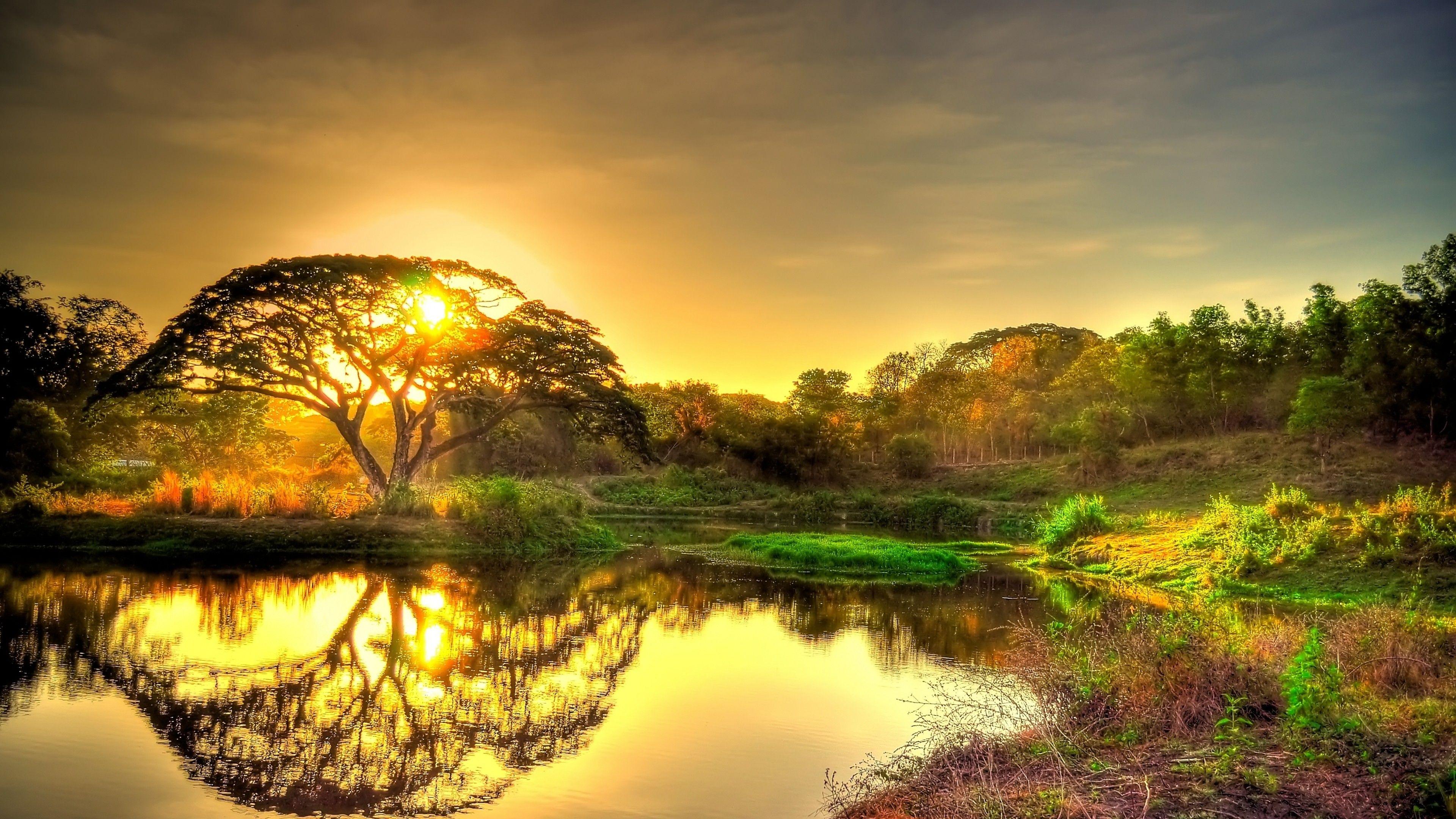 3840x2160 Best Nature Photo (19)