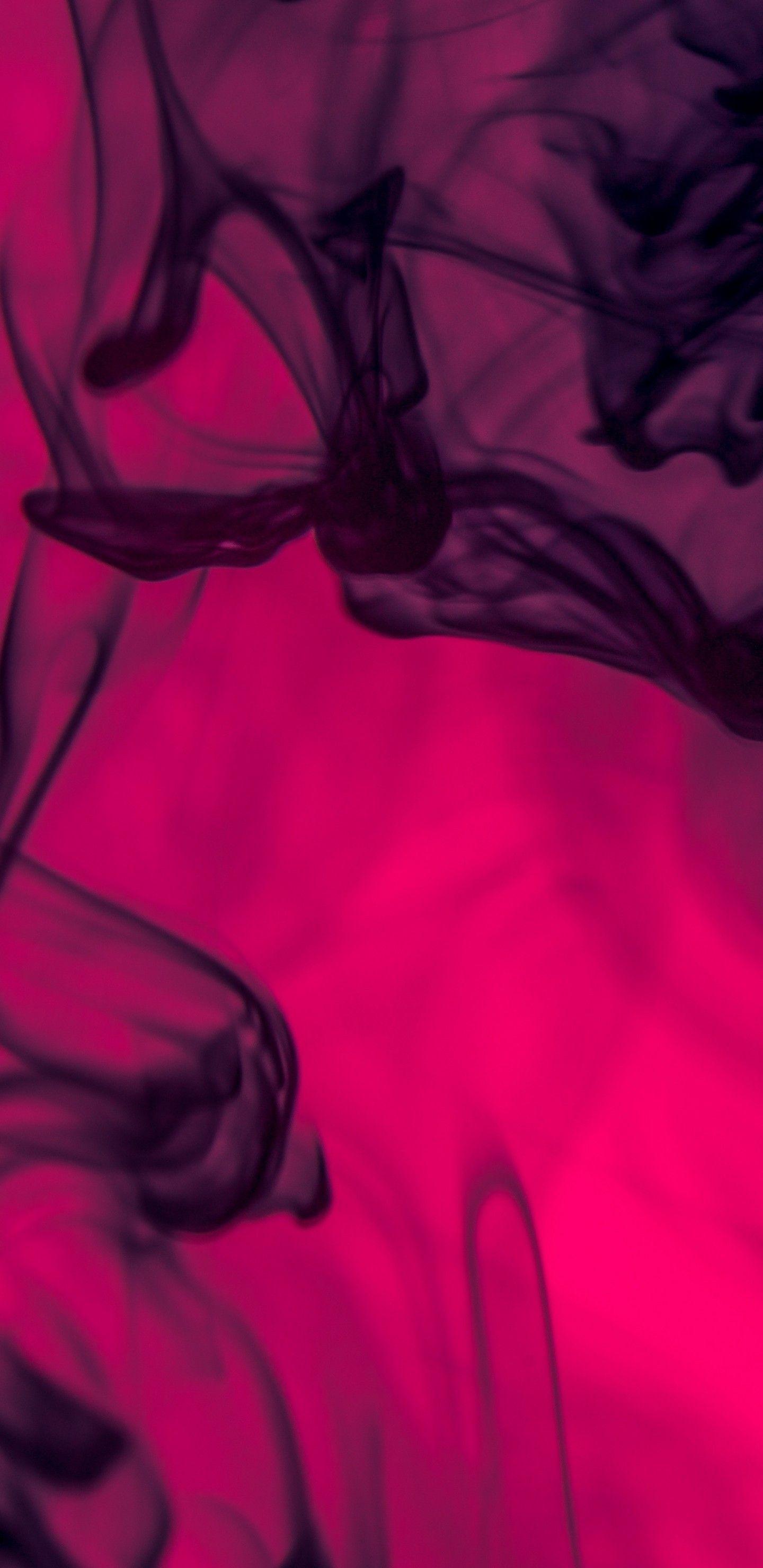 1440x2960 Download 1440x2960 Smoke, Neon, Shroud Wallpaper for Samsung