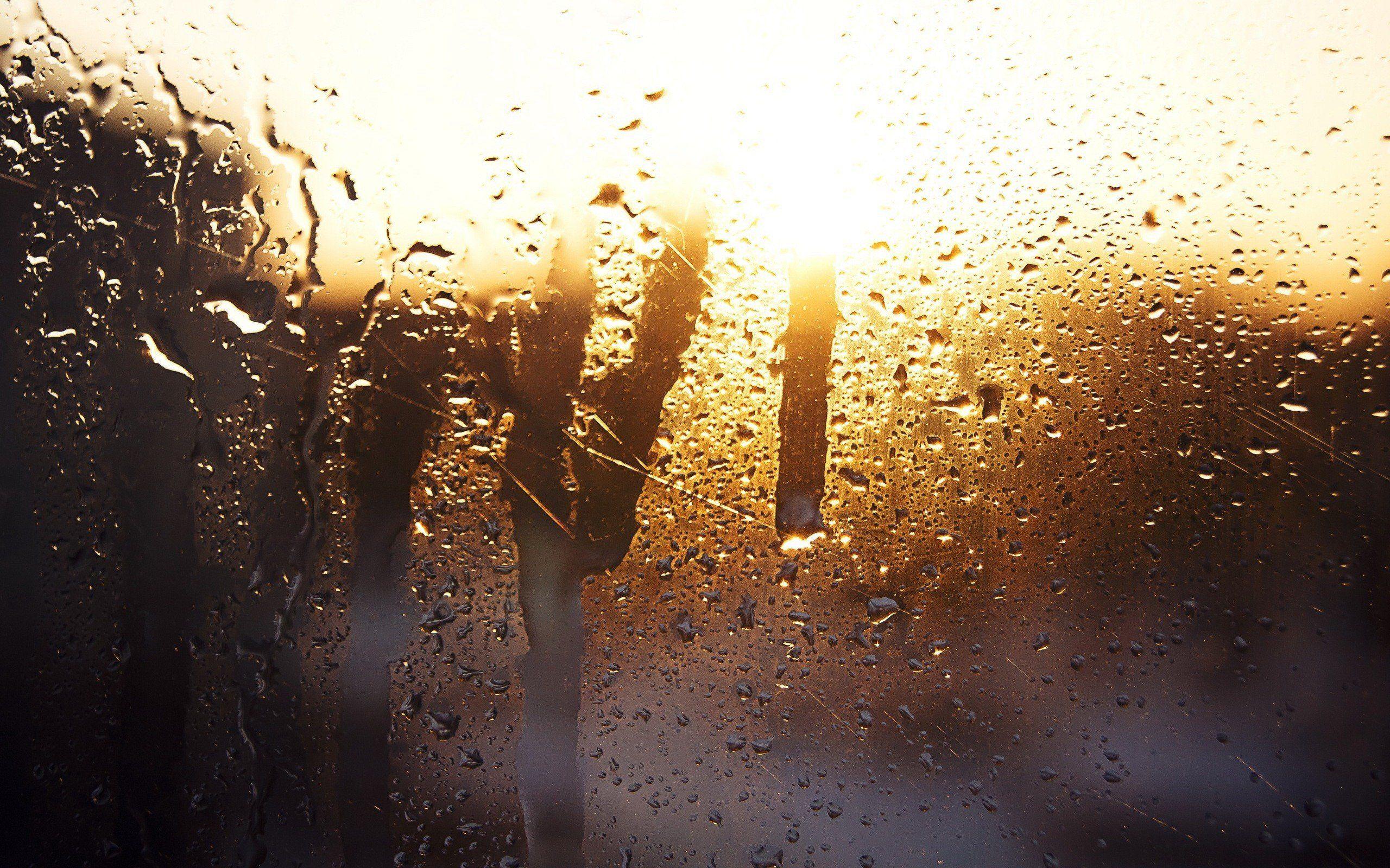 2560x1600 rain, Water on glass, Sunlight HD Wallpaper / Desktop and Mobile