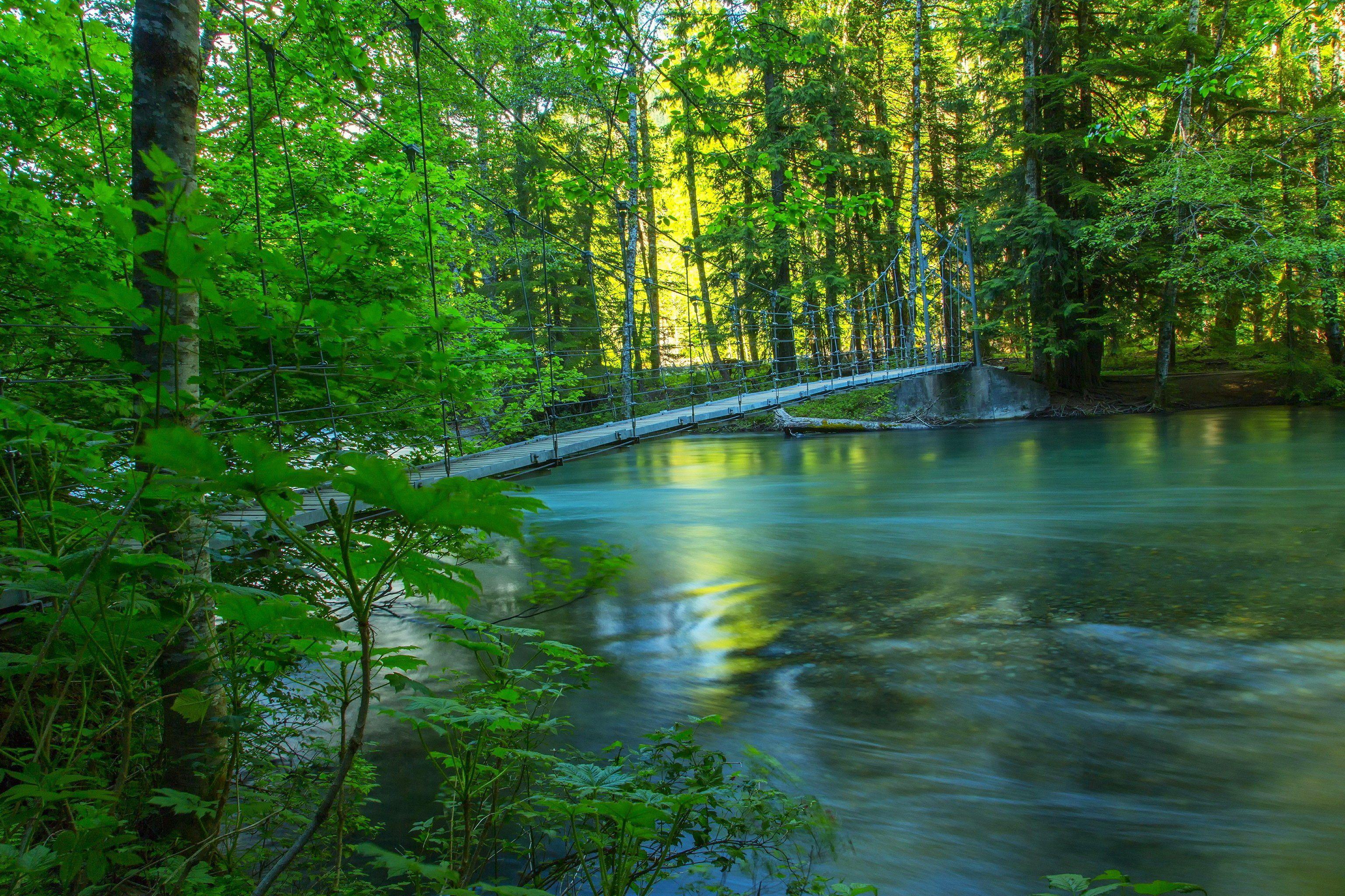 3072x2048 Forest nature photo summer bridge river wallpaperx2048