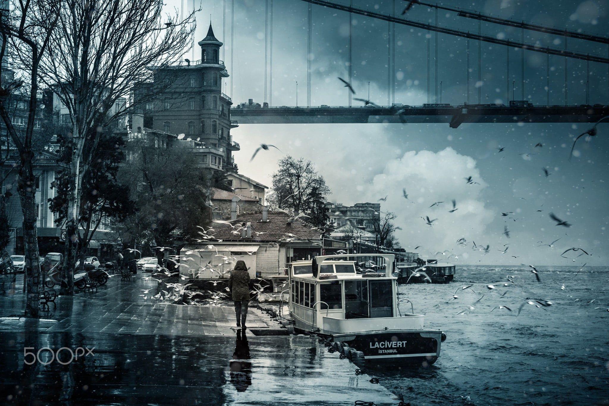2048x1365 View of bridge and flight of birds, photography, Istanbul, Turkey