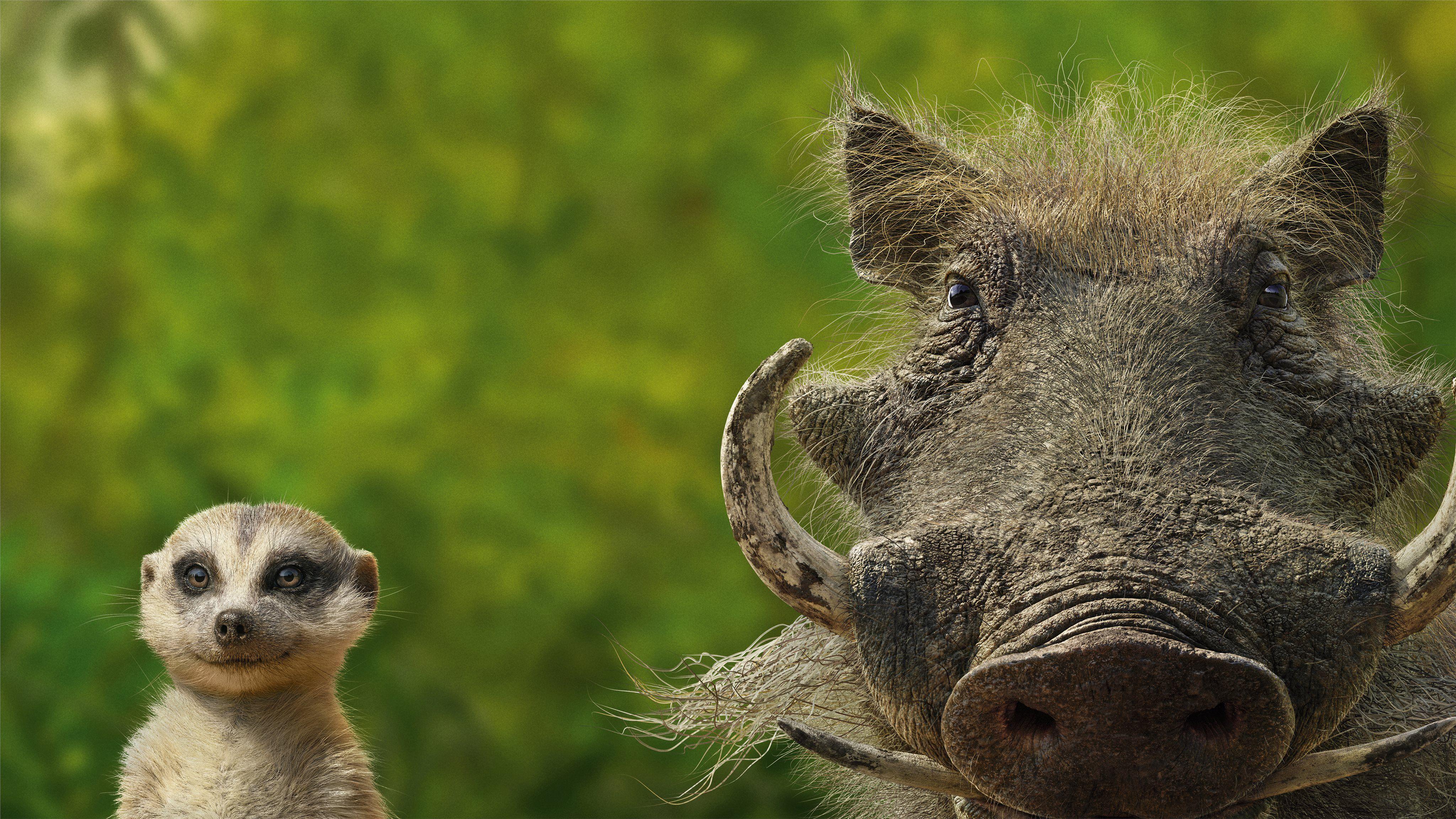 4096x2304 timon and pumbaa MacBook Air Wallpaper Download