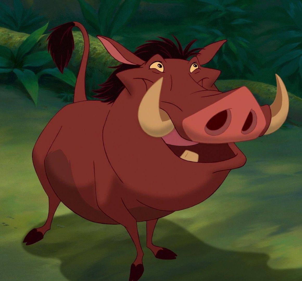 1161x1080 Pumbaa