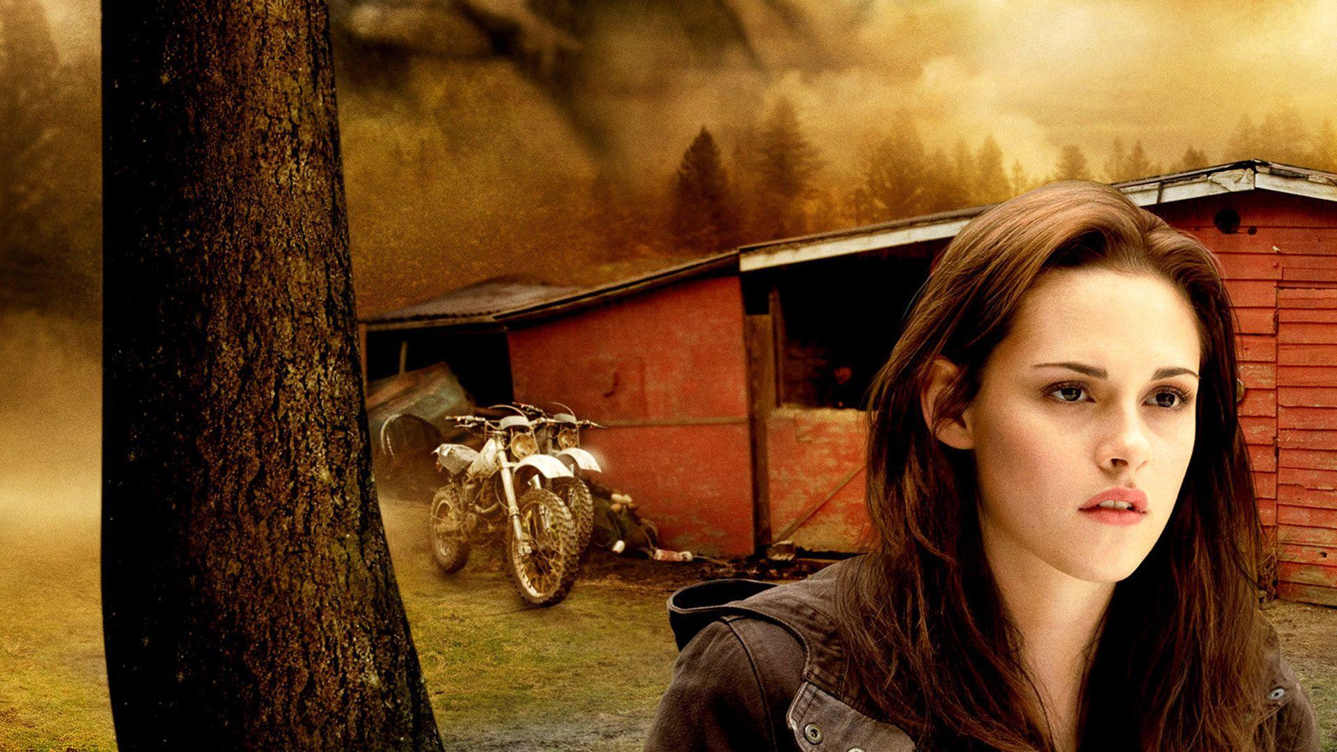 HD bella and edward wallpapers  Peakpx