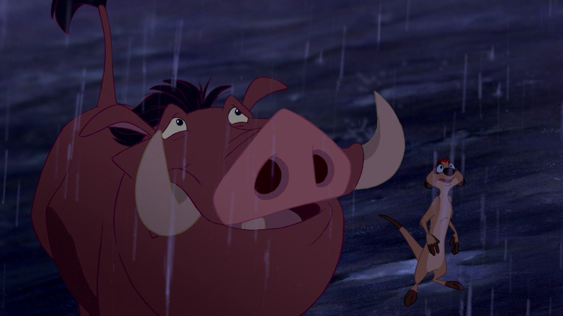 Timon And Pumbaa Wallpaper