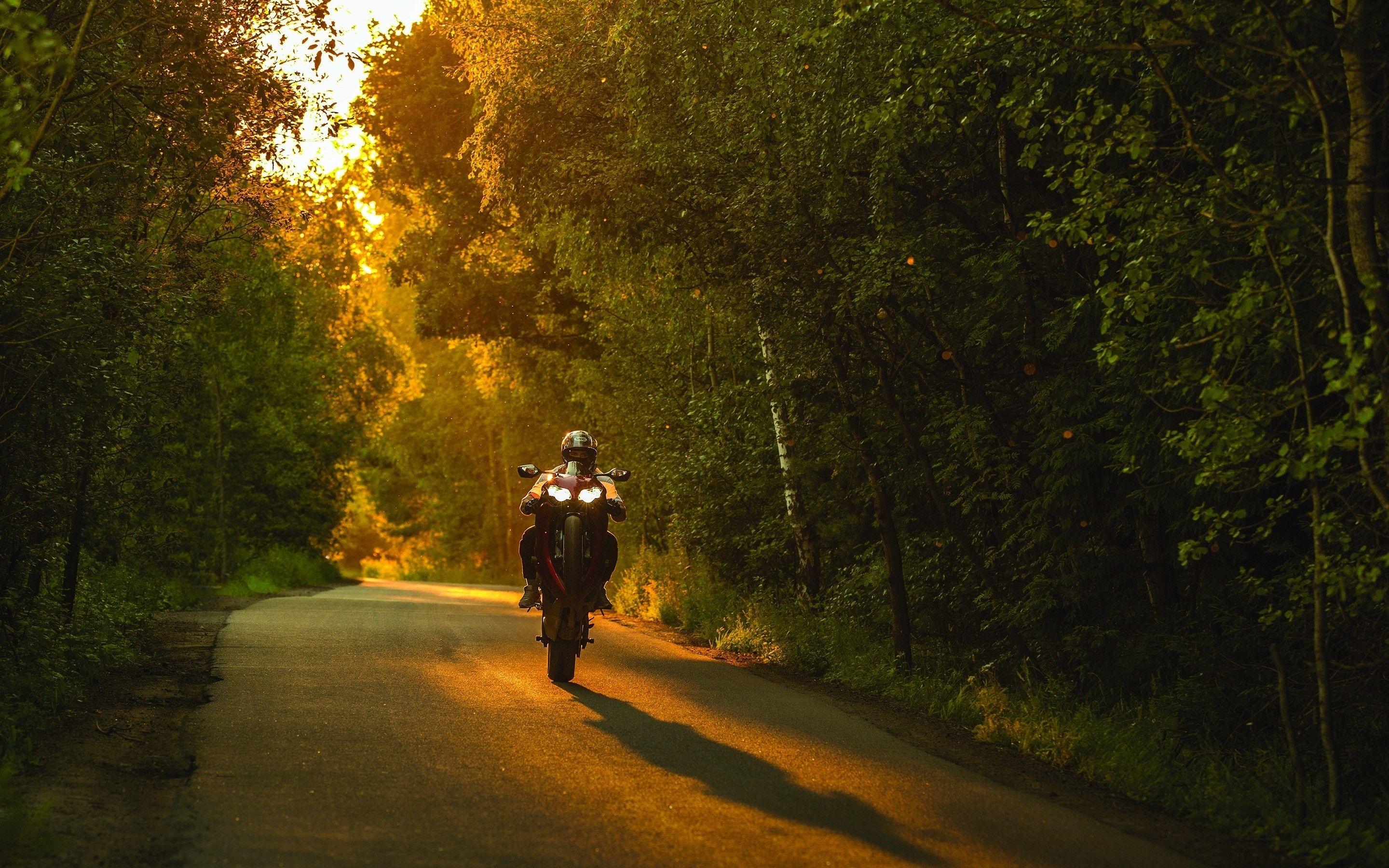 2880x1800 Download 2880x1800 Honda Cbr Sunlight, Forest, Shadow