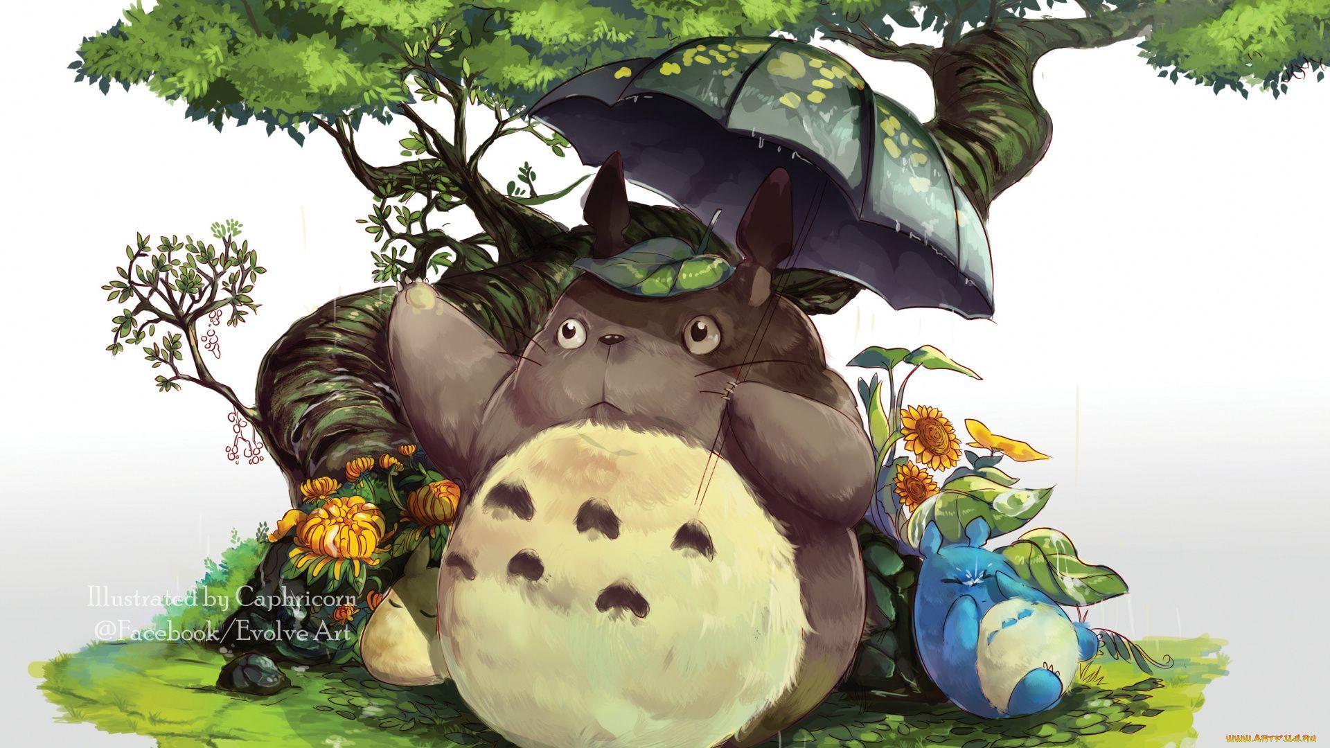 Totoro Anime Wallpapers - Top Free Totoro Anime Backgrounds