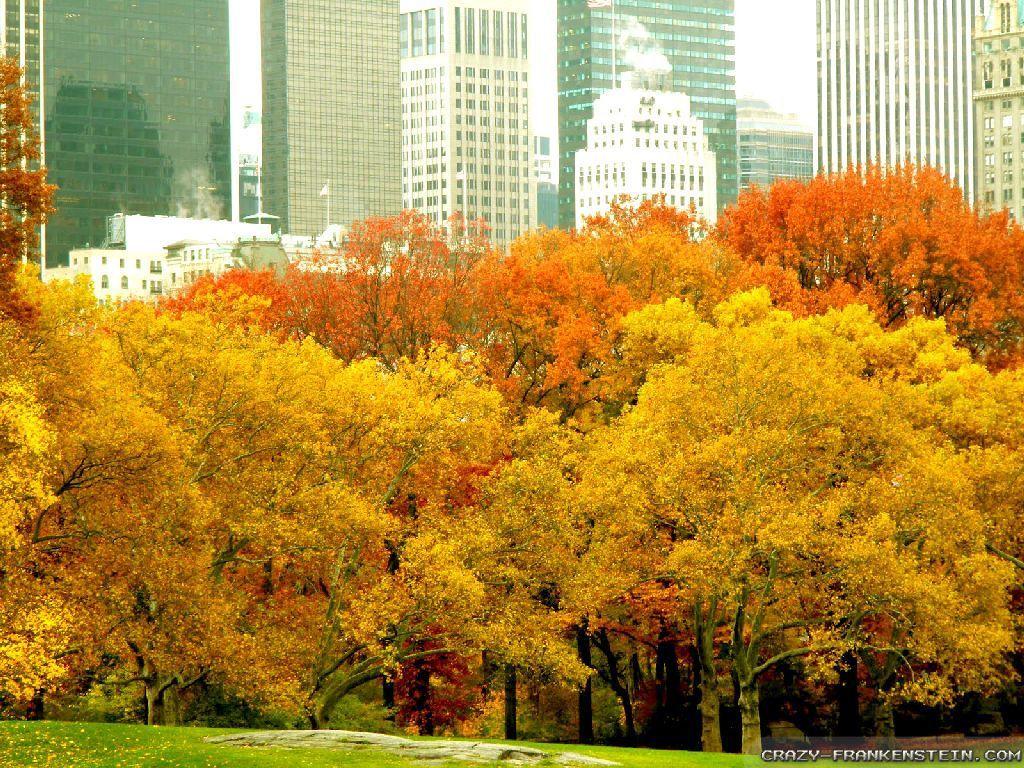 New York City Fall Wallpapers - Top Free New York City Fall Backgrounds ...