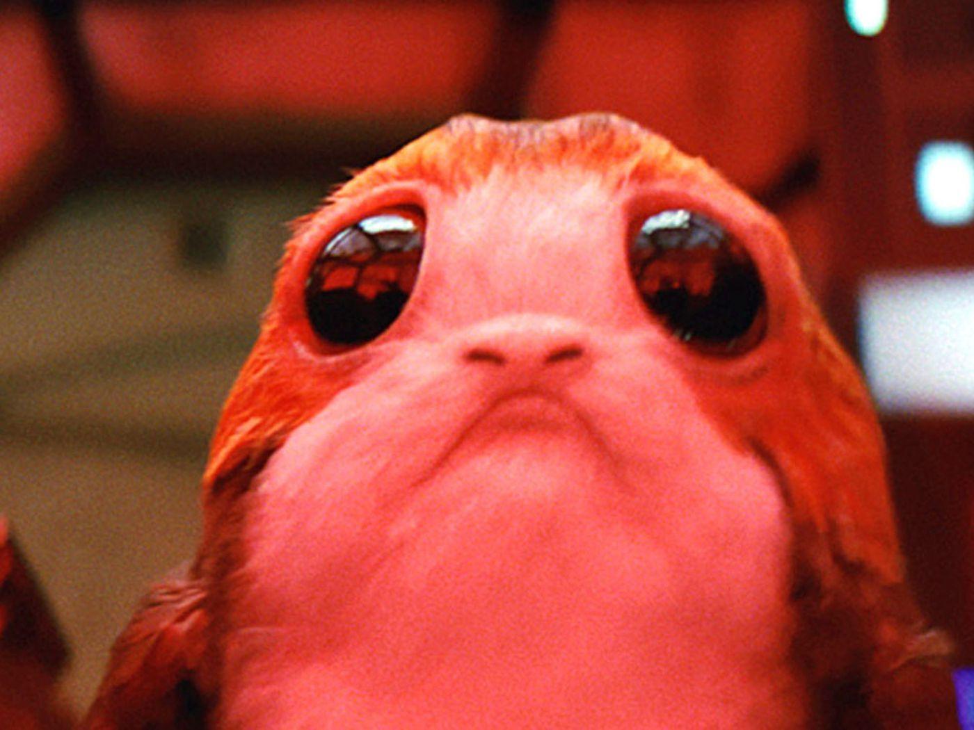 Porg Star Wars Wallpapers Top Free Porg Star Wars Backgrounds 