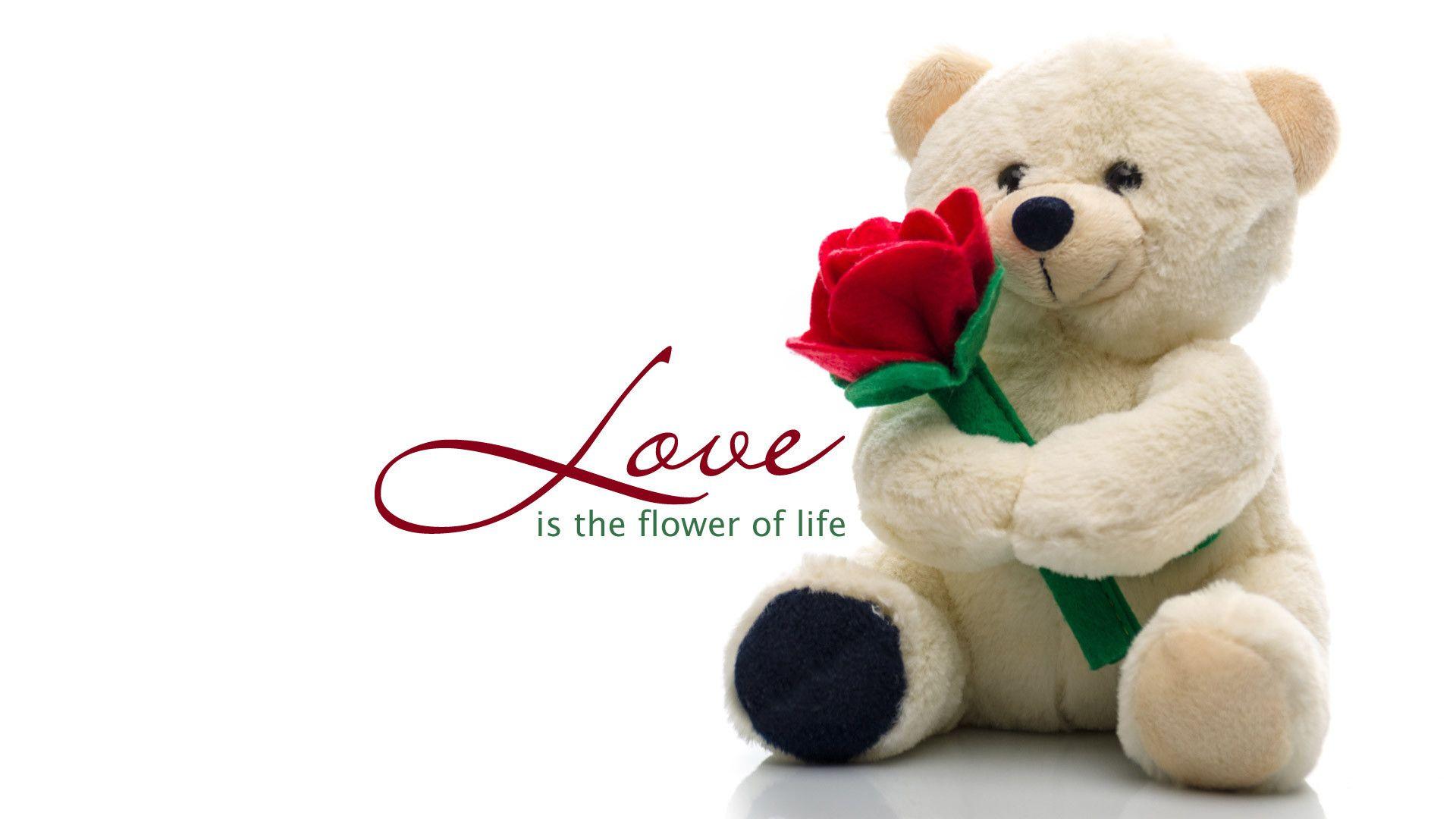 1920x1080 I Love You Teddy Bear Wallpaper In Jpg Format For Free Download