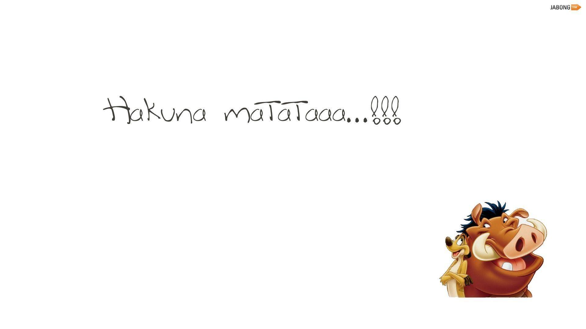 1920x1080 Timon Wallpaper