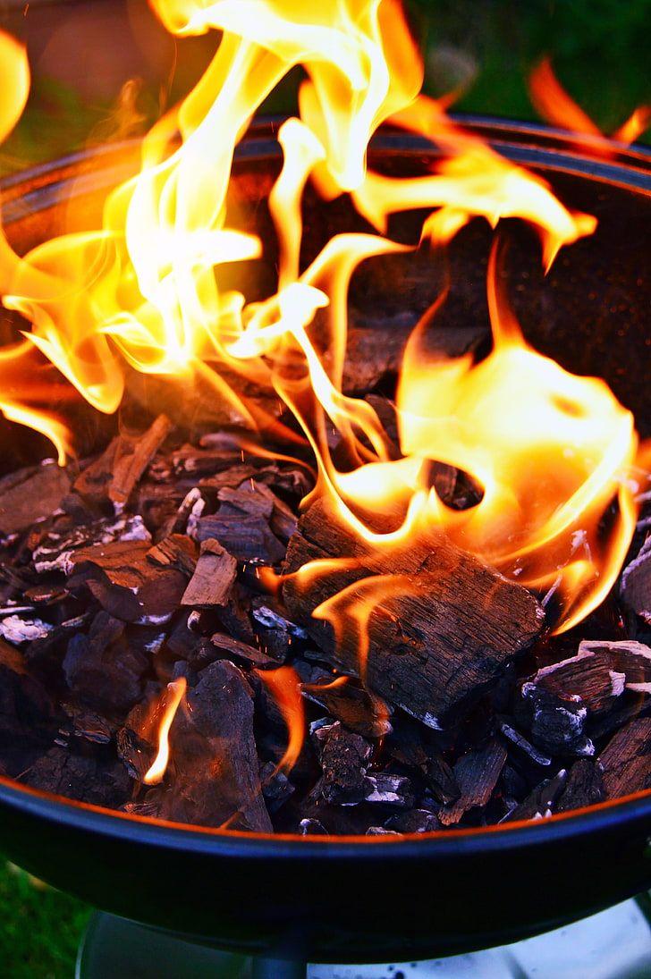 728x1095 HD wallpaper: bonfire, firewood, coal, burning, flame, fire