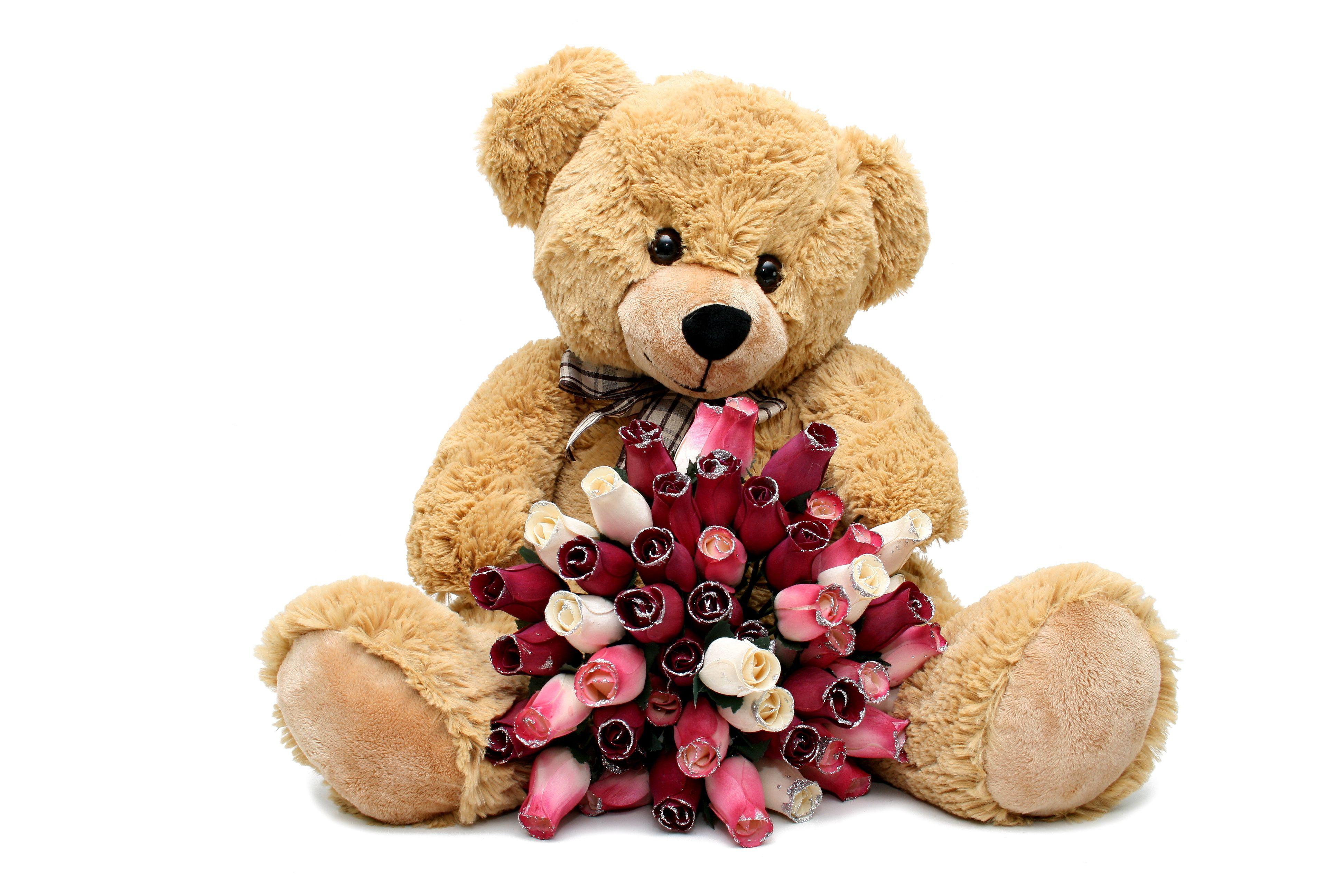3888x2592 Cute Bear Image Animated Dowload