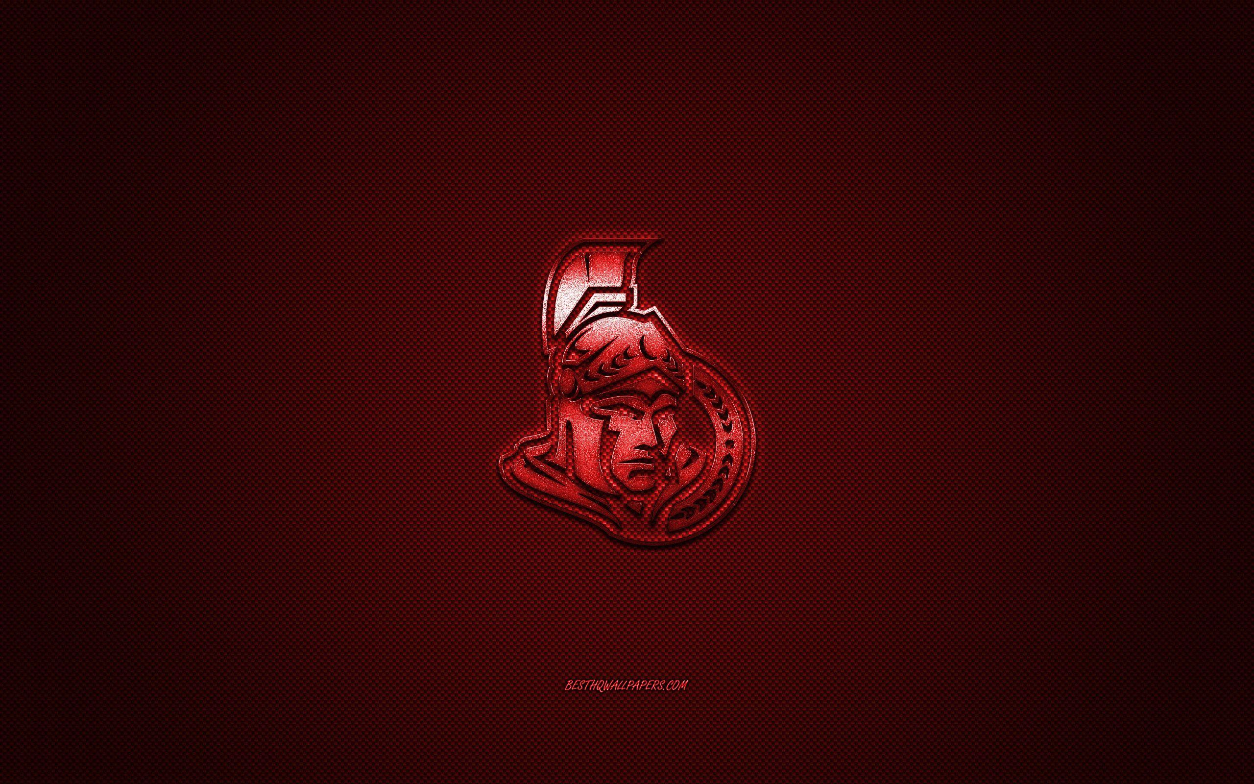 2560x1600 Download wallpaper Ottawa Senators, Canadian hockey club, NHL