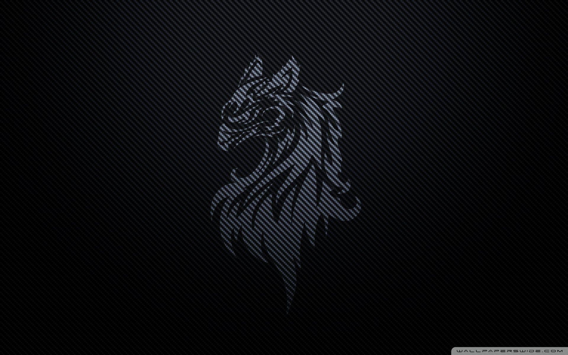 1920x1200 Carbon Fiber Gryffin By Betahouse Wallpaper 1920x1200 Wallpaper