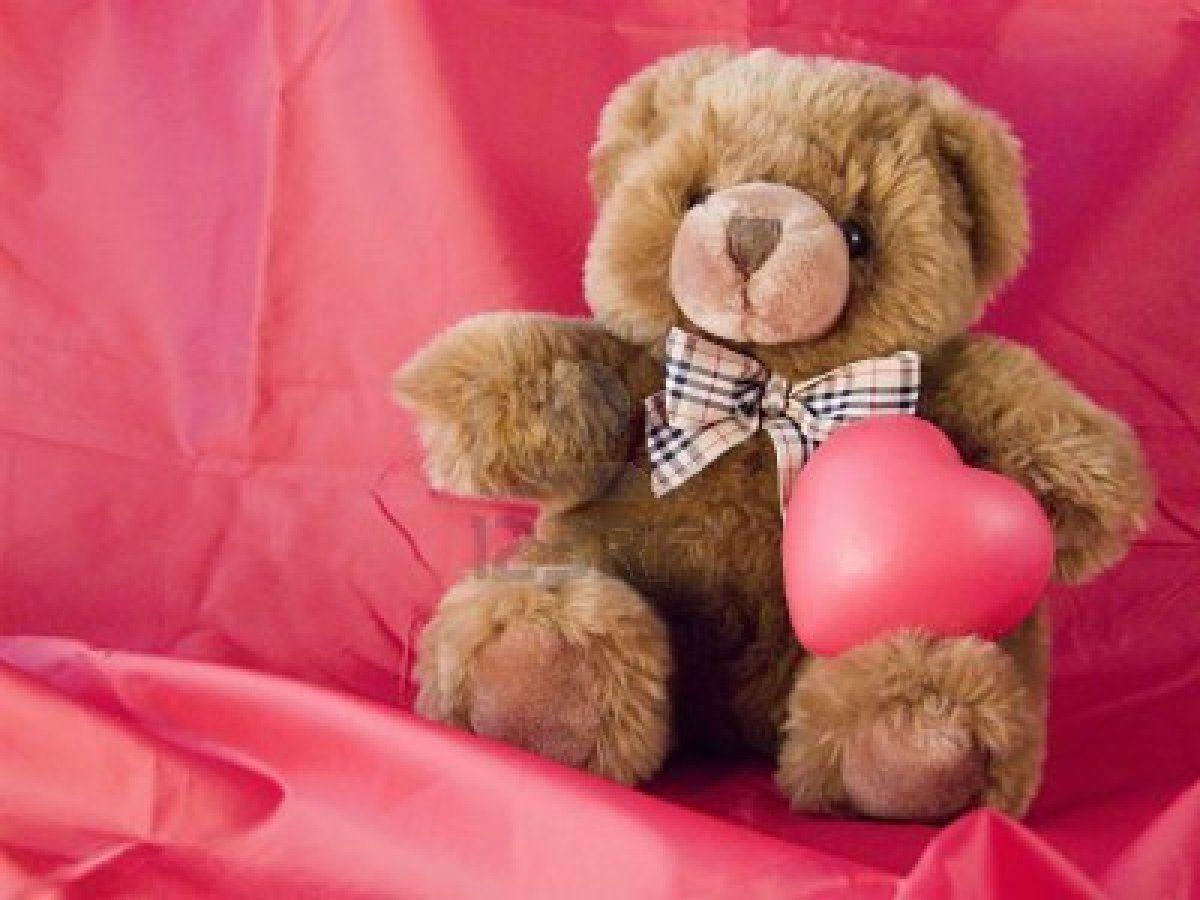 1200x900 Cute Bear Wallpaper