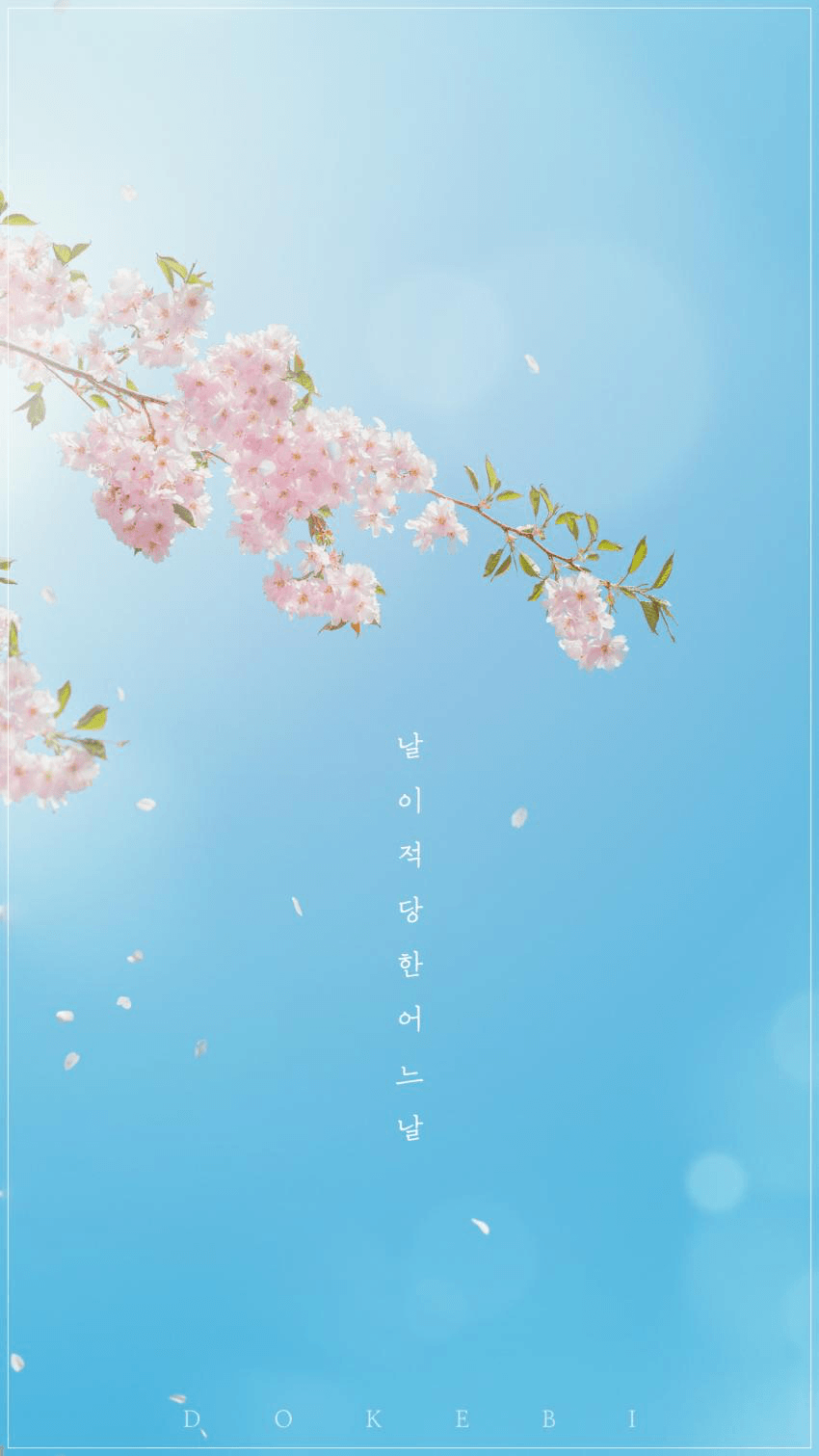 850x1511 D
