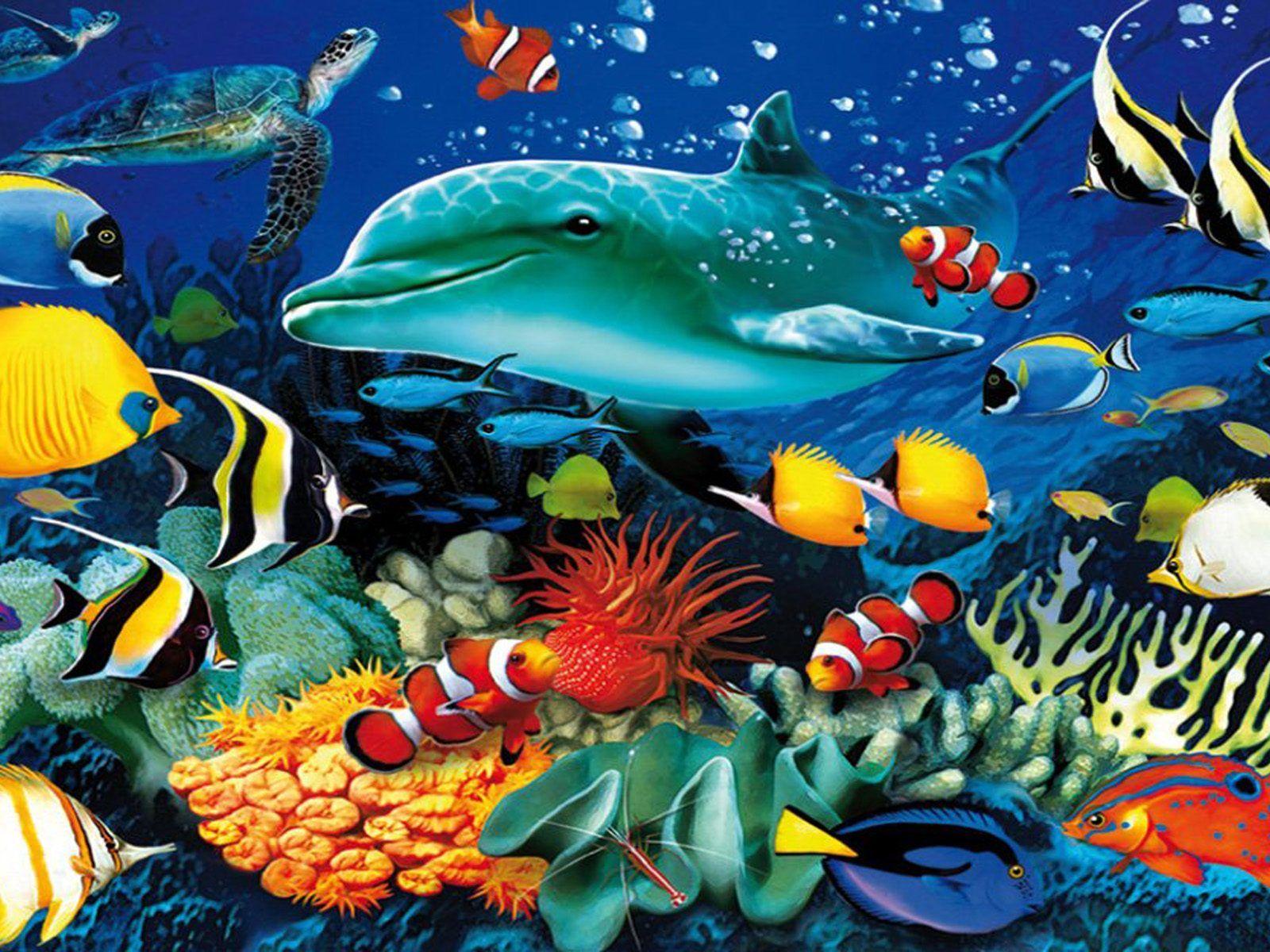 1600x1200 Ocean Underwater World Marine Life Dolphin Sea Turtle Colorful