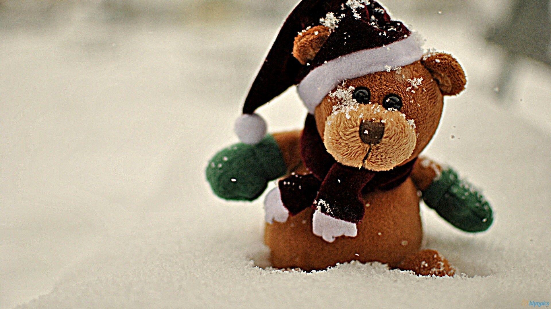 1920x1080 Teddy Bear Wallpaper Widescreen Wallpaper