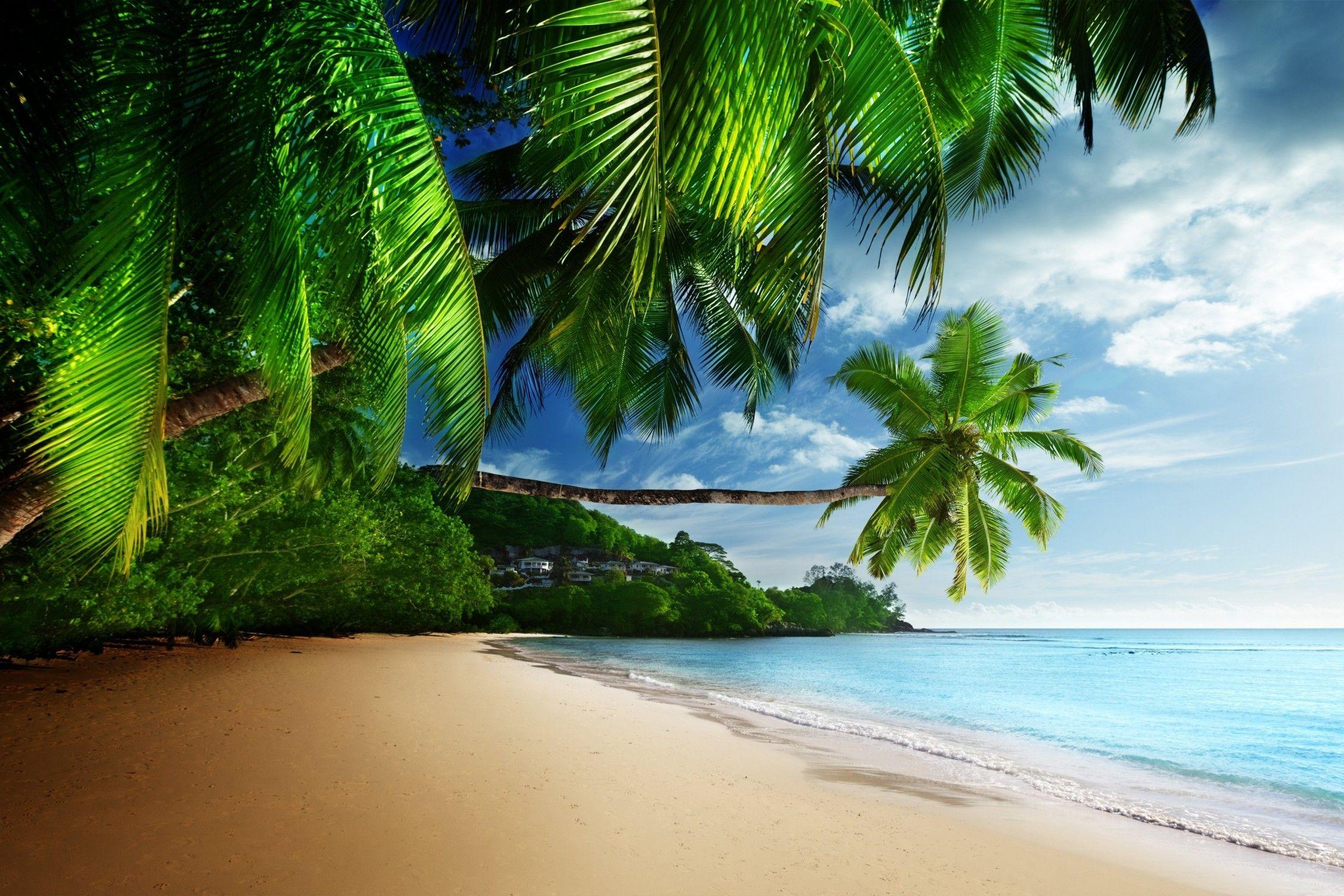 2256x1504 Download 2256x1504 Beach, Palm, Coast, Ocean, Waves, Sand