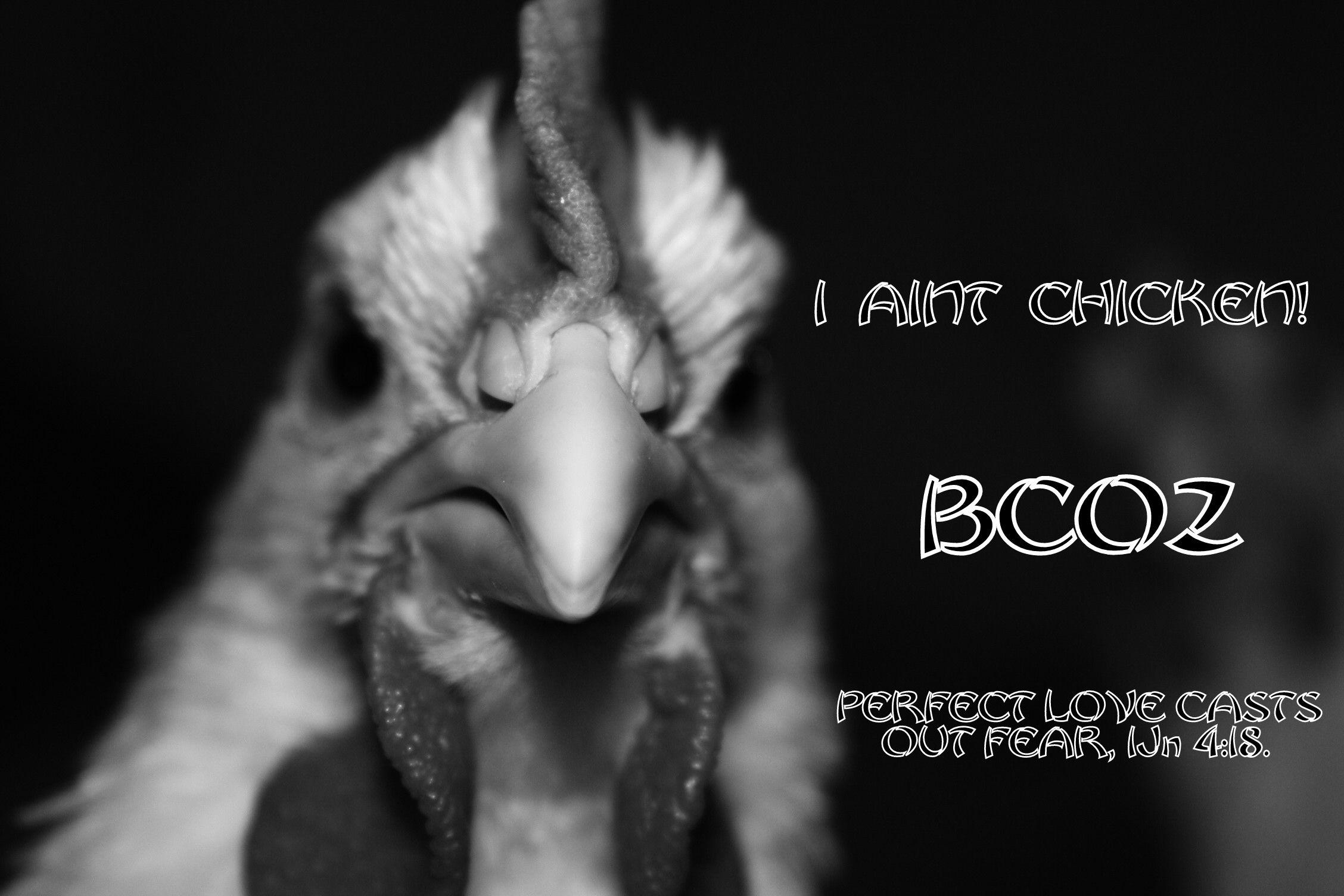 2256X1504 Anime Wallpapers - Top Free 2256X1504 Anime Backgrounds