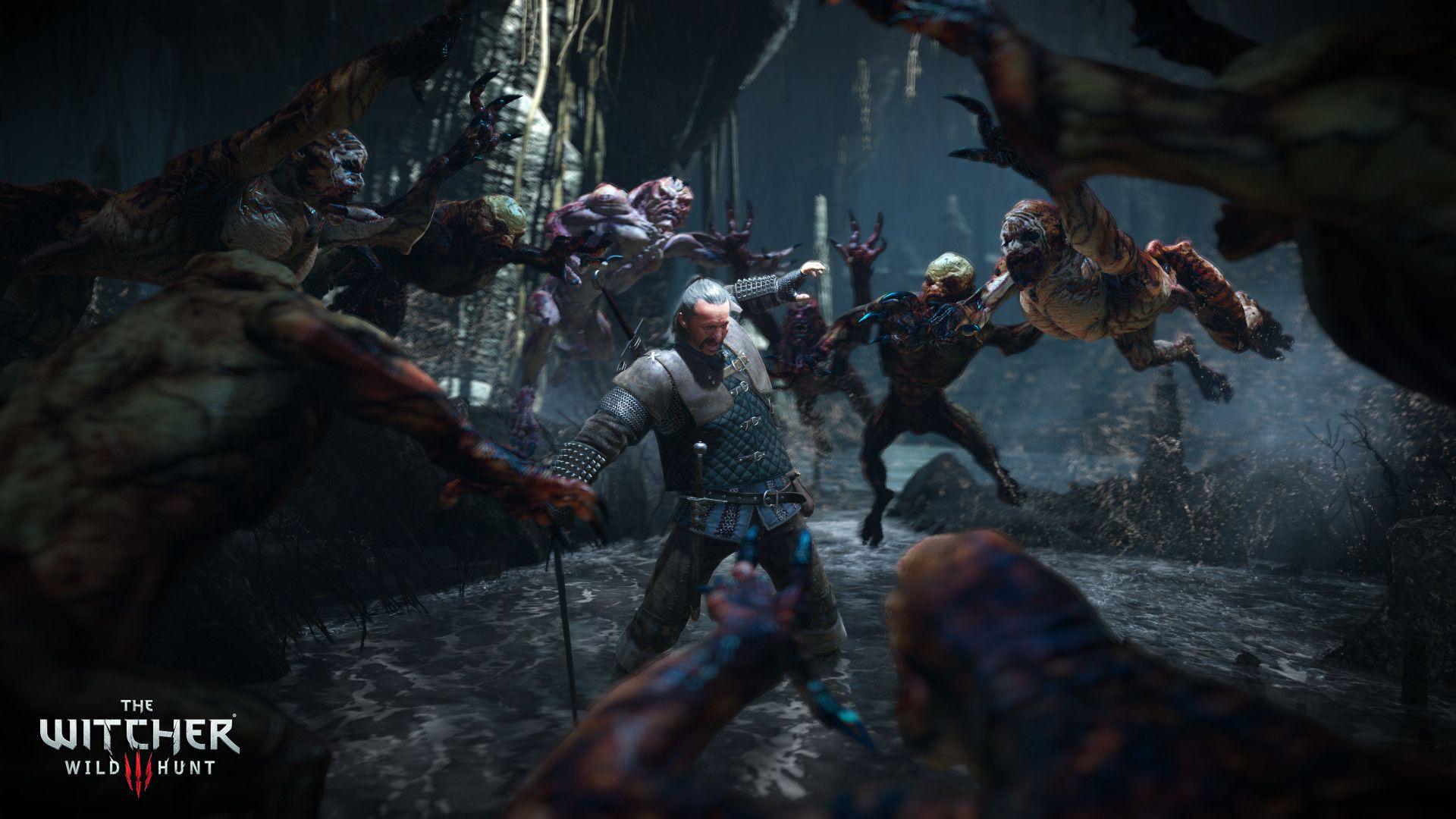 1920x1080 Witcher Wolf Wallpaper