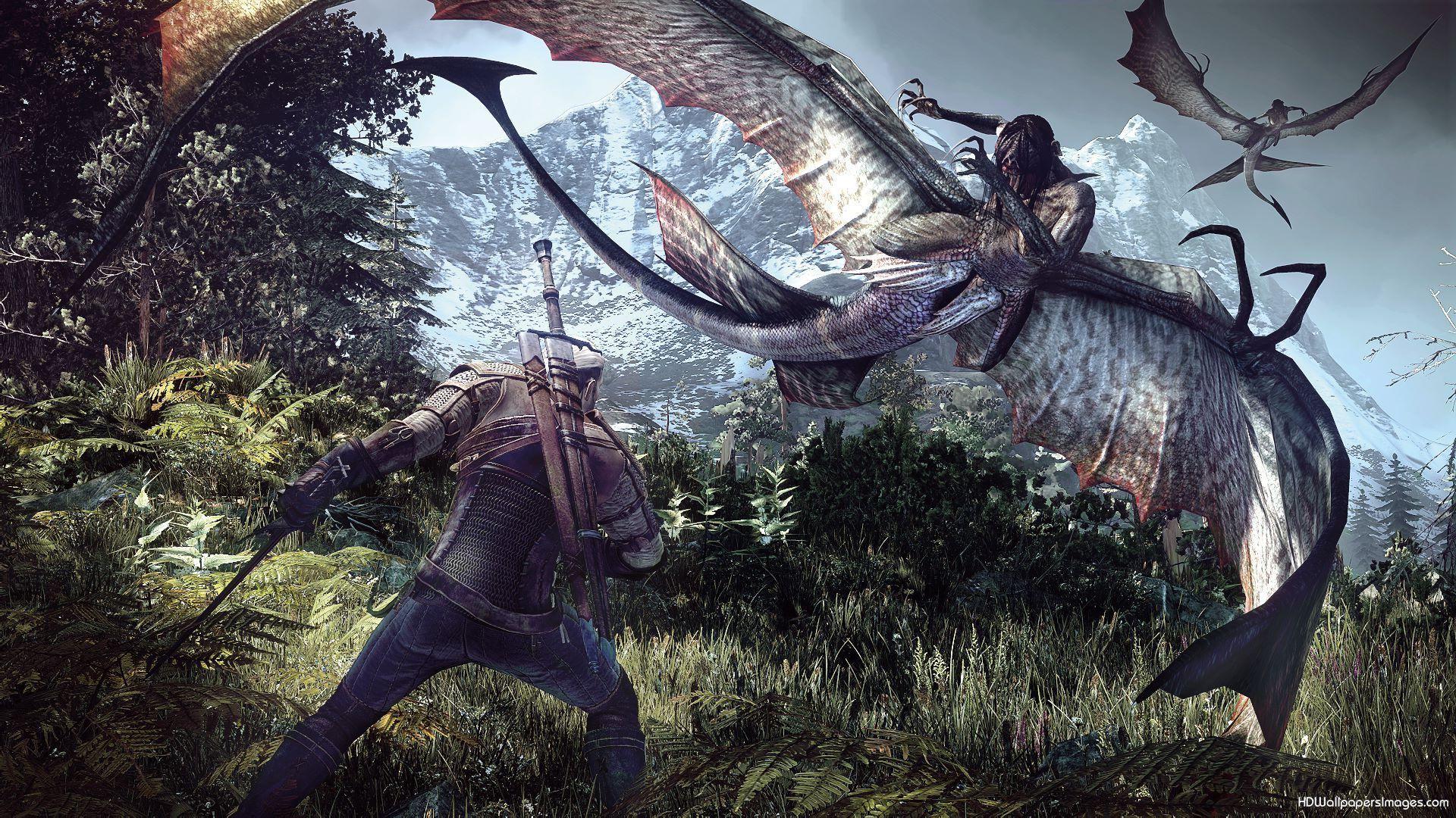 1920x1080 Witcher 3 HD Wallpaper