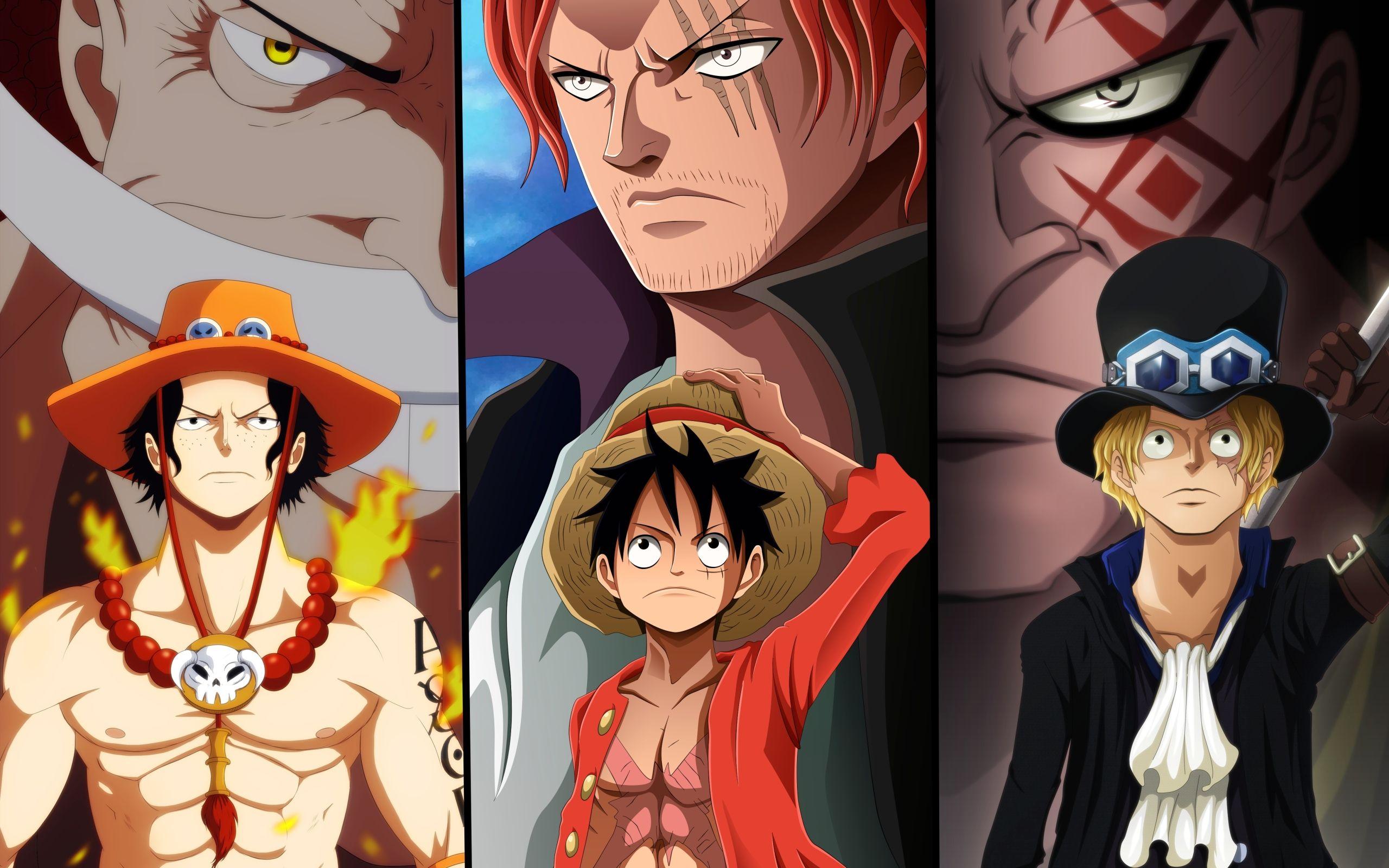 one piece heroes