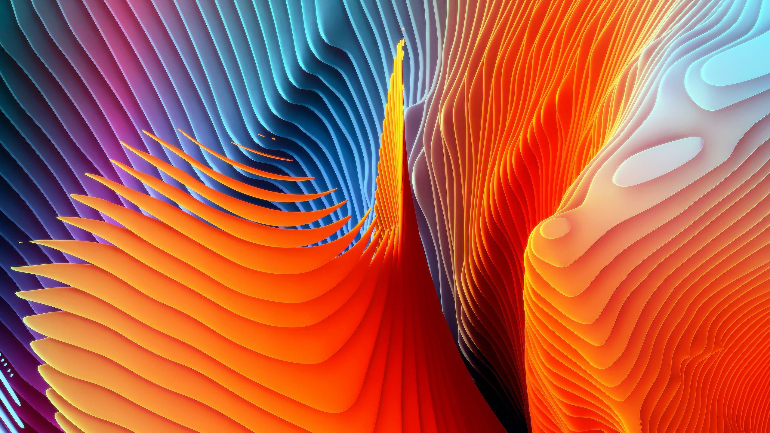2560x1440 Floral Spiral Wallpaper Pro Apple Wallpaper 4k