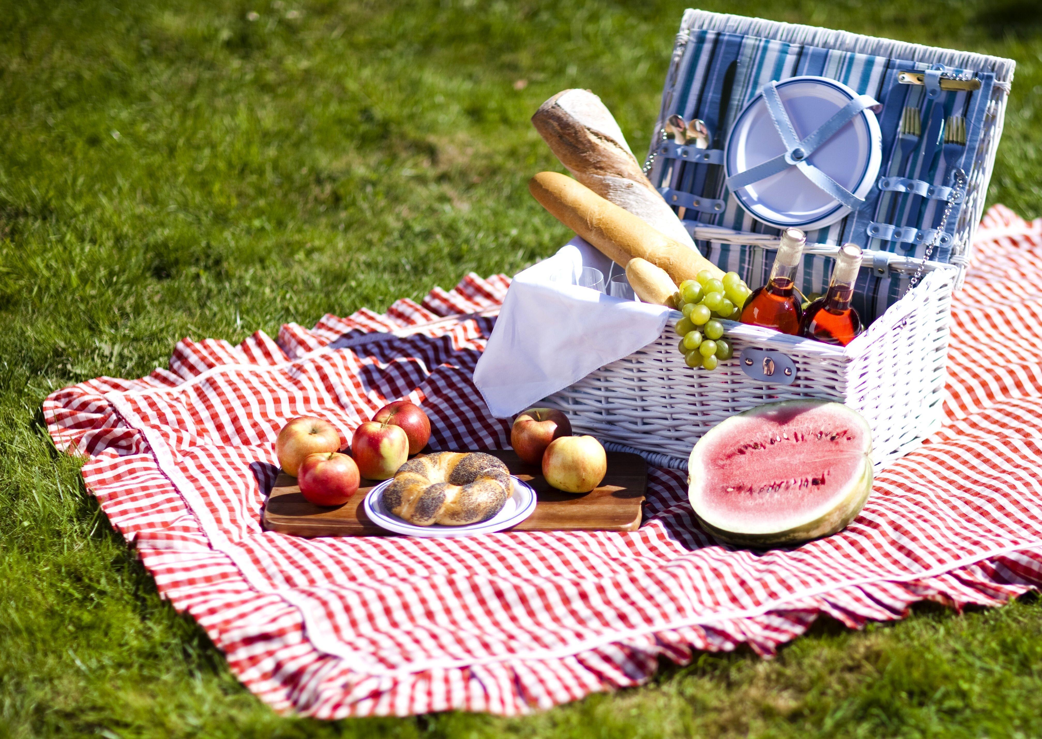 23 Eco-Friendly Picnic Supplies for a Fancy Meal Outdoors | Epicurious
