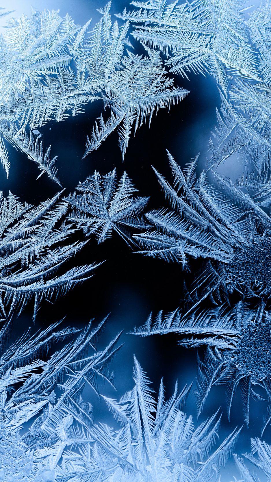 Frosty Wallpapers - Top Free Frosty Backgrounds - WallpaperAccess