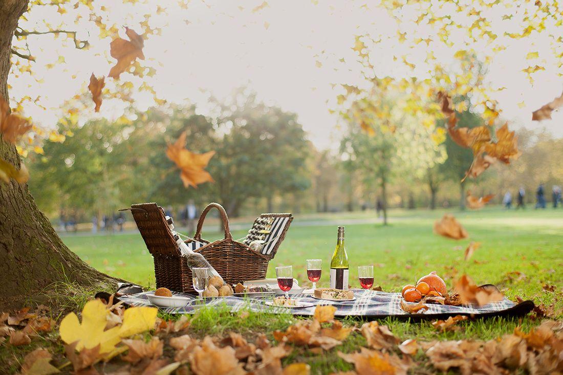 Picnic Photos, Download The BEST Free Picnic Stock Photos & HD Images