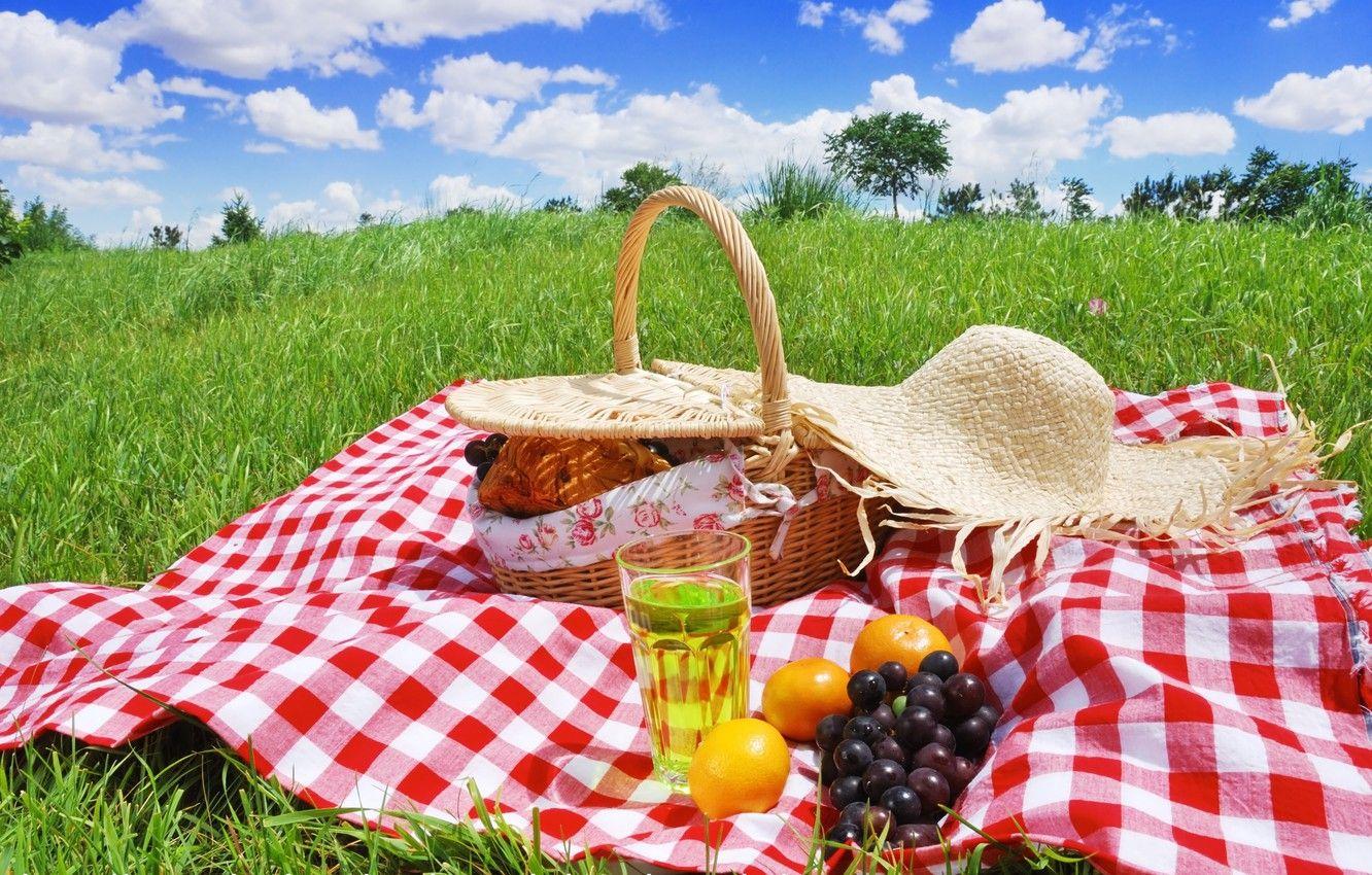 Mobile Coold HD Wallpapers | HD Desktop Wallpaper Collections | Picnic,  Romantic picnics, Outdoor
