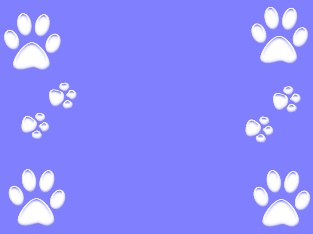 1024x768 Paw Background. PAW Patrol Tablet