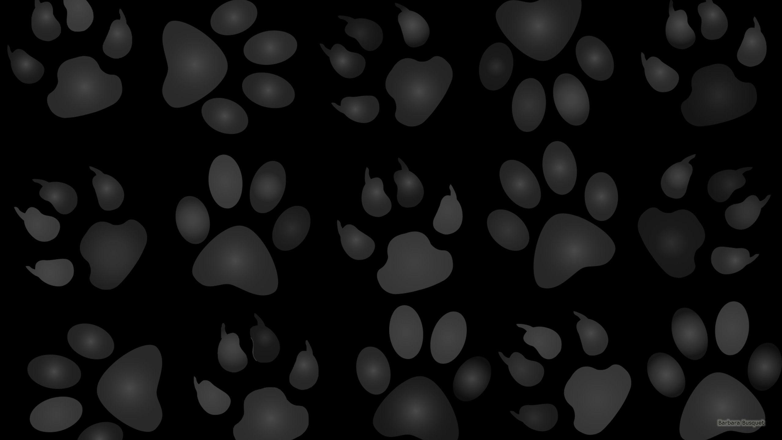 2560x1440 Dog Paws Wallpaper