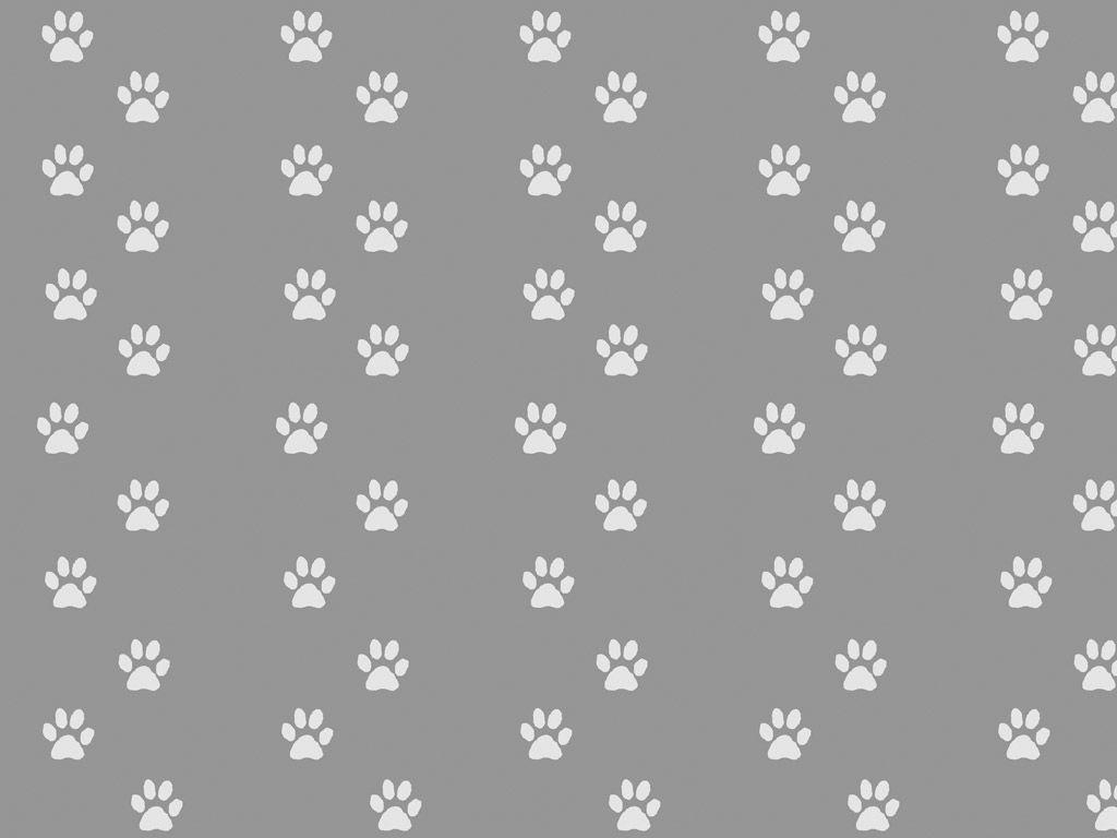 1024x768 Nice Background of Paws, Colelction ID: KJN69KJN