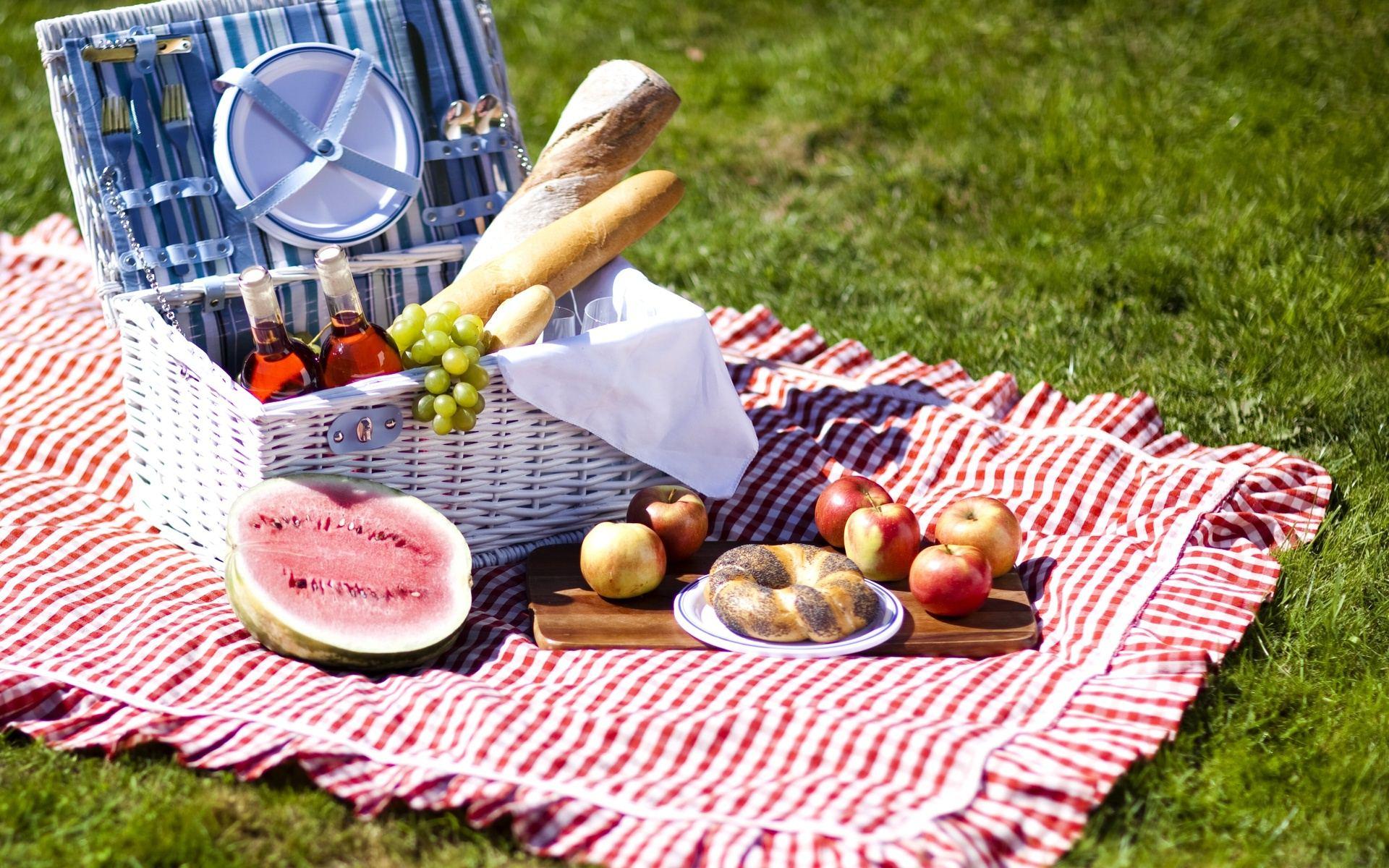 picnic-wallpapers-top-free-picnic-backgrounds-wallpaperaccess